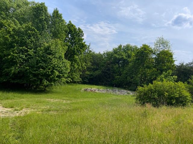 2121 LEE JACKSON HWY, STAUNTON, Virginia 24401, ,Land,2121 LEE JACKSON HWY,677346 MLS # 677346 2121 LEE JACKSON HWY, STAUNTON, Virginia 24401, ,Land,2121 LEE JACKSON HWY,677346 MLS # 677346