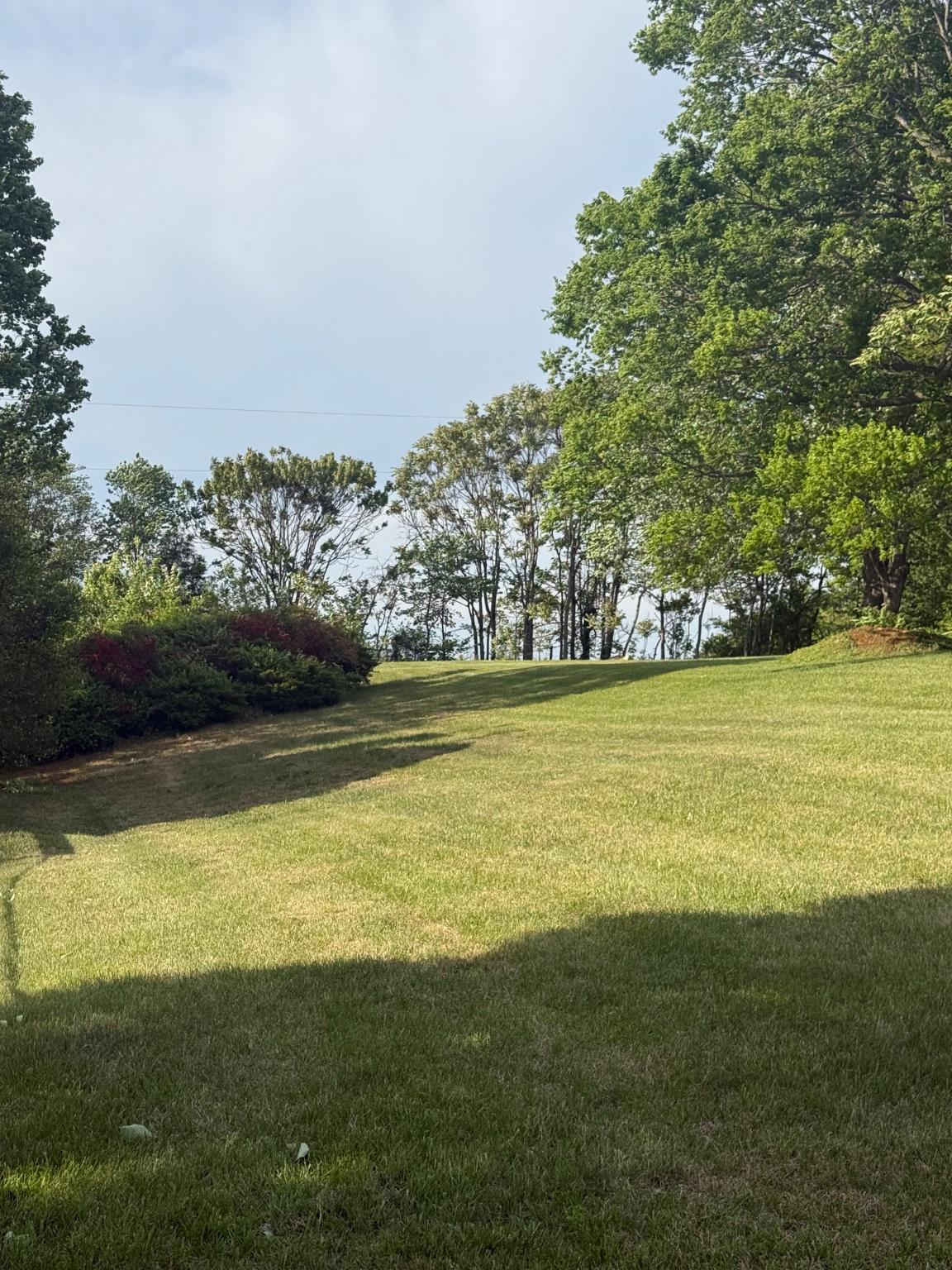 13420 CHESTNUT FORK RD, CULPEPER, Virginia 22701, 3 Bedrooms Bedrooms, ,2 BathroomsBathrooms,Residential,13420 CHESTNUT FORK RD,VACU2013688 MLS # VACU2013688