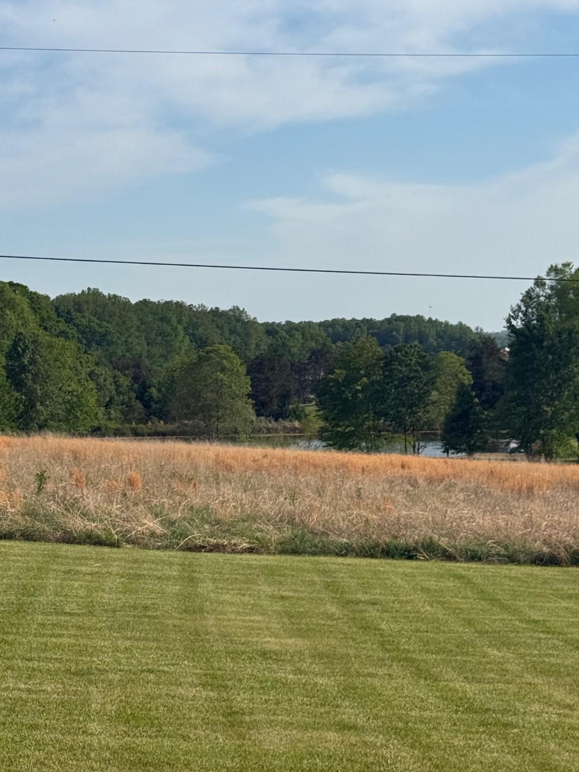 13420 CHESTNUT FORK RD, CULPEPER, Virginia 22701, 3 Bedrooms Bedrooms, ,2 BathroomsBathrooms,Residential,13420 CHESTNUT FORK RD,VACU2013688 MLS # VACU2013688