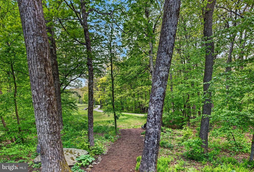 22 DEER SPRINGS LN, Virginia 22958, 3 Bedrooms Bedrooms, ,2 BathroomsBathrooms,Residential,22 DEER SPRINGS LN,VANL2000662 MLS # VANL2000662