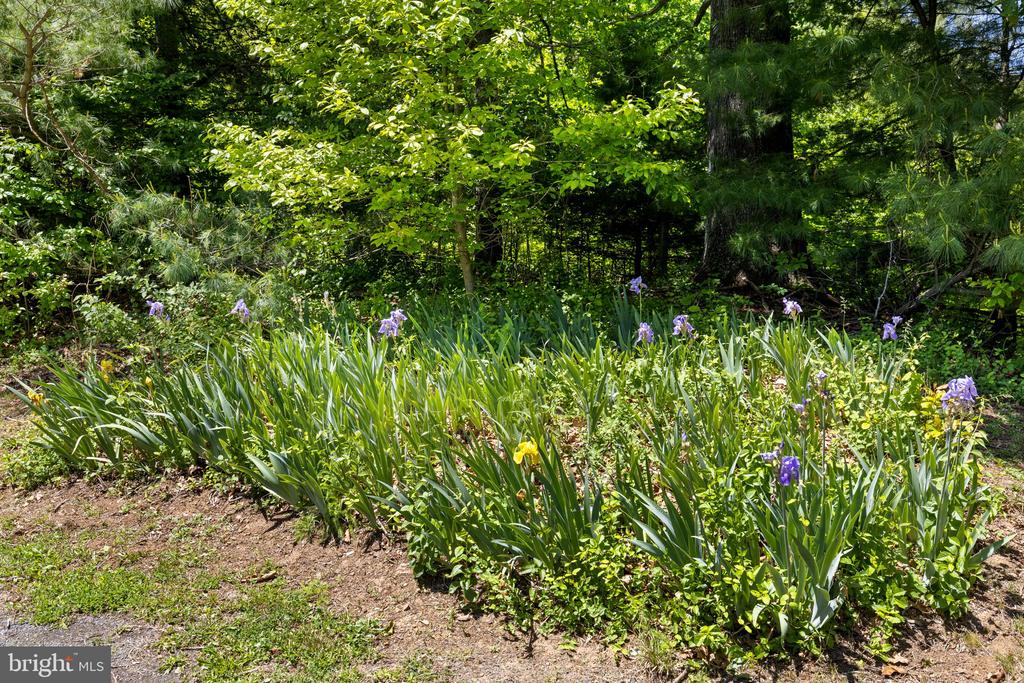 105 SWINDLER HOLLOW RD, SPERRYVILLE, Virginia 22740, 3 Bedrooms Bedrooms, ,2 BathroomsBathrooms,Residential,105 SWINDLER HOLLOW RD,VARP2002648 MLS # VARP2002648