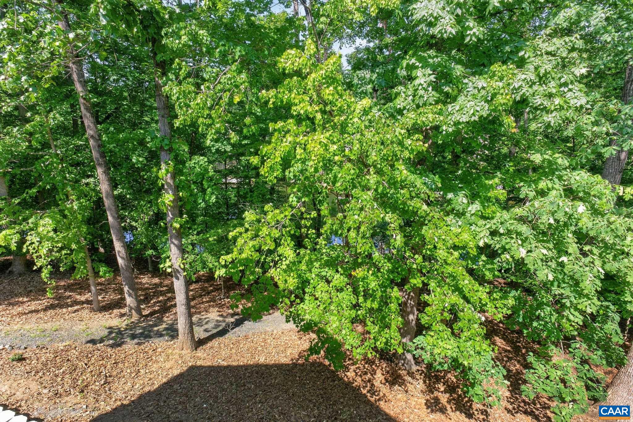 13 CONDOR RD, PALMYRA, Virginia 22963, 4 Bedrooms Bedrooms, ,3 BathroomsBathrooms,Residential,13 CONDOR RD,676896 MLS # 676896