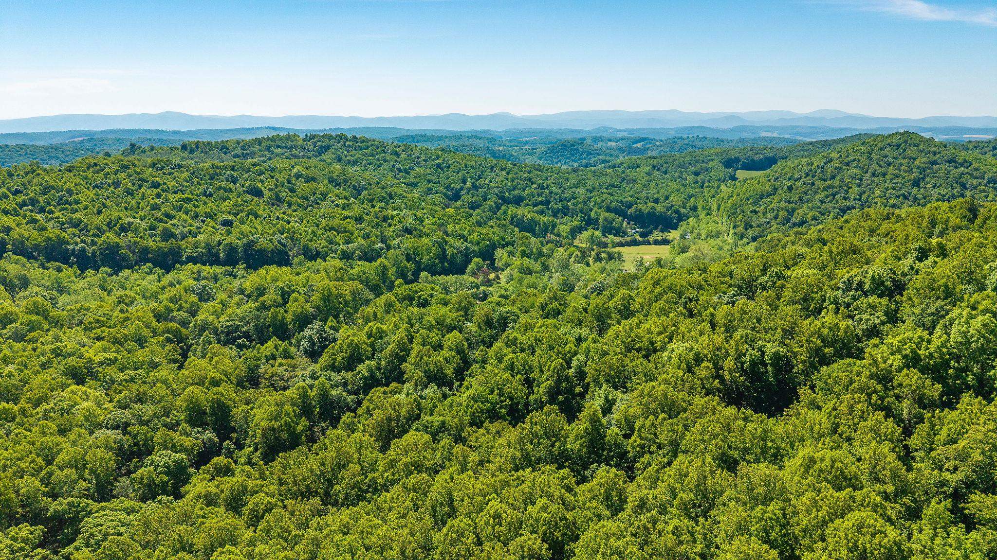 875 CAMPBELLS HOLLOW RD, MIDDLEBROOK, Virginia 24459, 3 Bedrooms Bedrooms, ,2 BathroomsBathrooms,Residential,875 CAMPBELLS HOLLOW RD,677353 MLS # 677353
