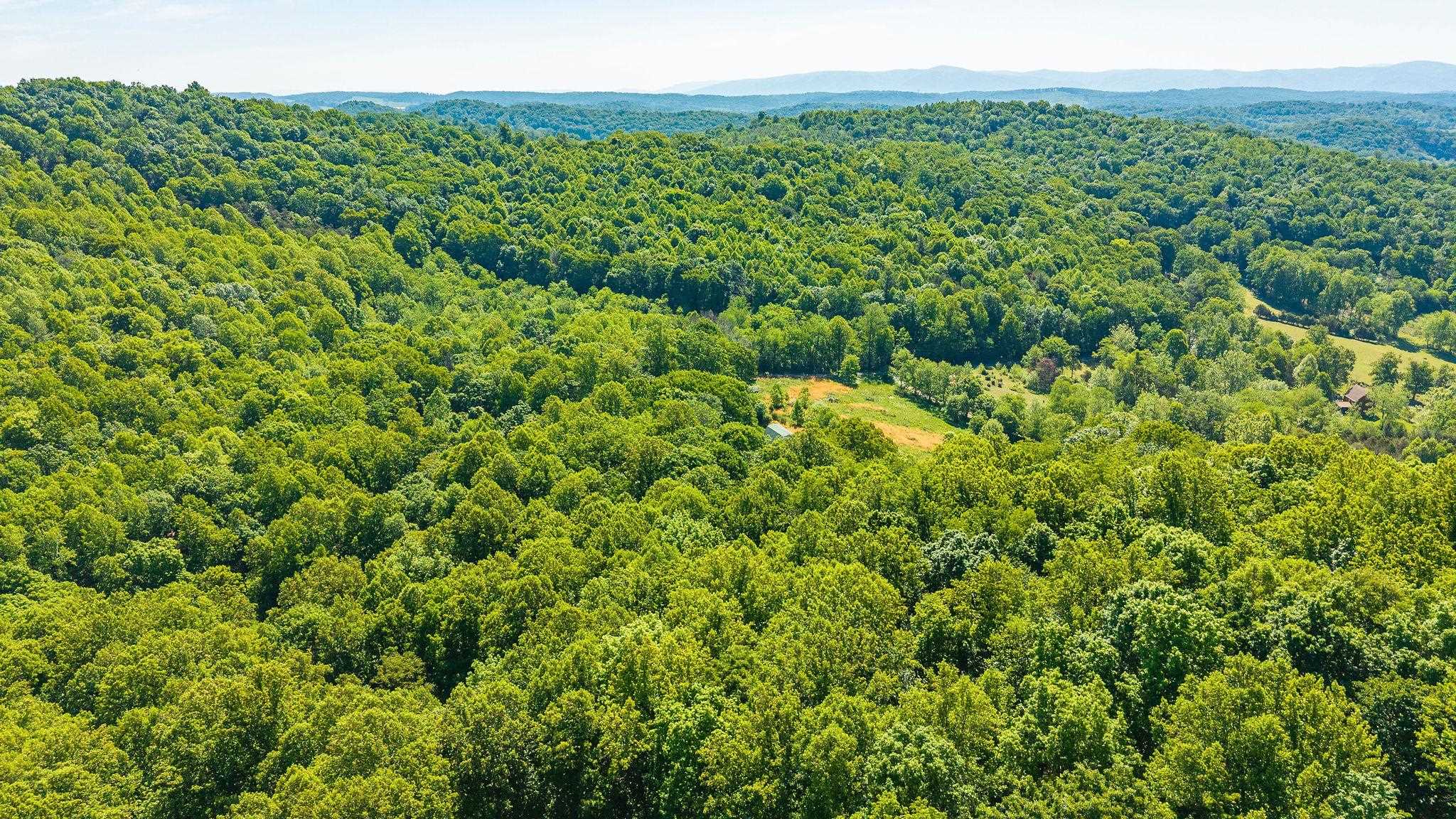875 CAMPBELLS HOLLOW RD, MIDDLEBROOK, Virginia 24459, 3 Bedrooms Bedrooms, ,2 BathroomsBathrooms,Residential,875 CAMPBELLS HOLLOW RD,677353 MLS # 677353