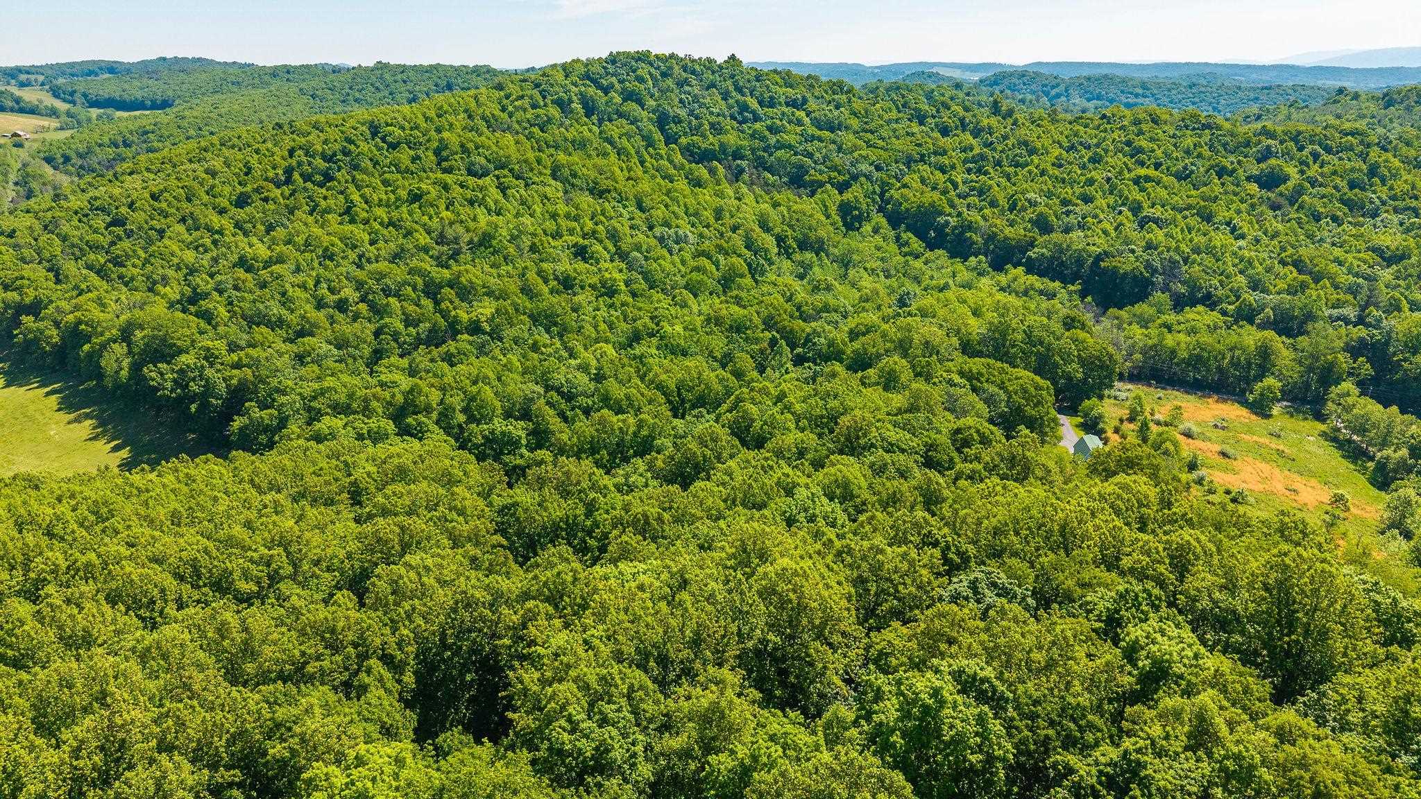 875 CAMPBELLS HOLLOW RD, MIDDLEBROOK, Virginia 24459, 3 Bedrooms Bedrooms, ,2 BathroomsBathrooms,Residential,875 CAMPBELLS HOLLOW RD,677353 MLS # 677353