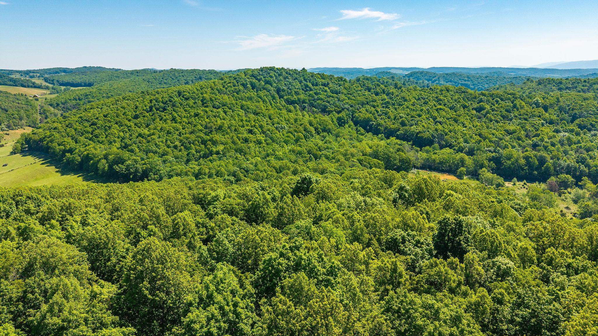 875 CAMPBELLS HOLLOW RD, MIDDLEBROOK, Virginia 24459, 3 Bedrooms Bedrooms, ,2 BathroomsBathrooms,Residential,875 CAMPBELLS HOLLOW RD,677353 MLS # 677353