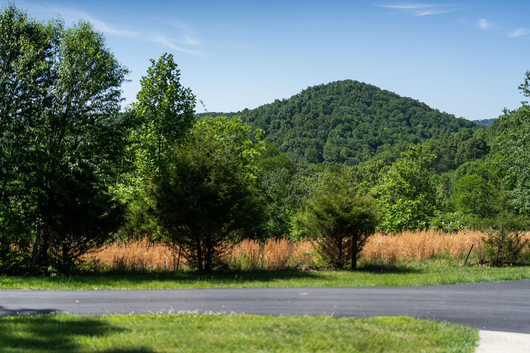 875 CAMPBELLS HOLLOW RD, MIDDLEBROOK, Virginia 24459, 3 Bedrooms Bedrooms, ,2 BathroomsBathrooms,Residential,875 CAMPBELLS HOLLOW RD,677353 MLS # 677353