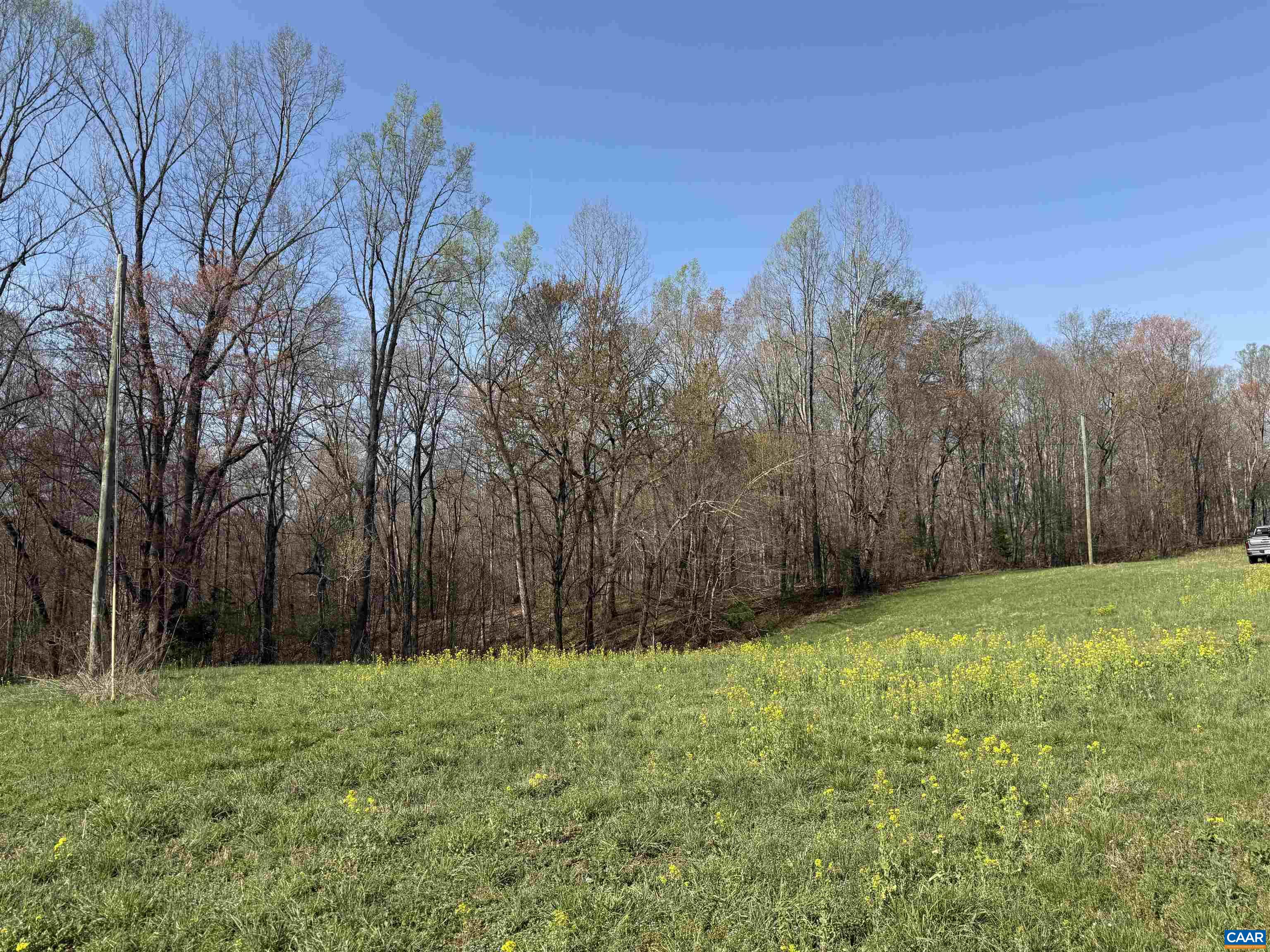 0 PAYNES POND RD, SCOTTSVILLE, Virginia 24590, ,Farm,0 PAYNES POND RD,677374 MLS # 677374