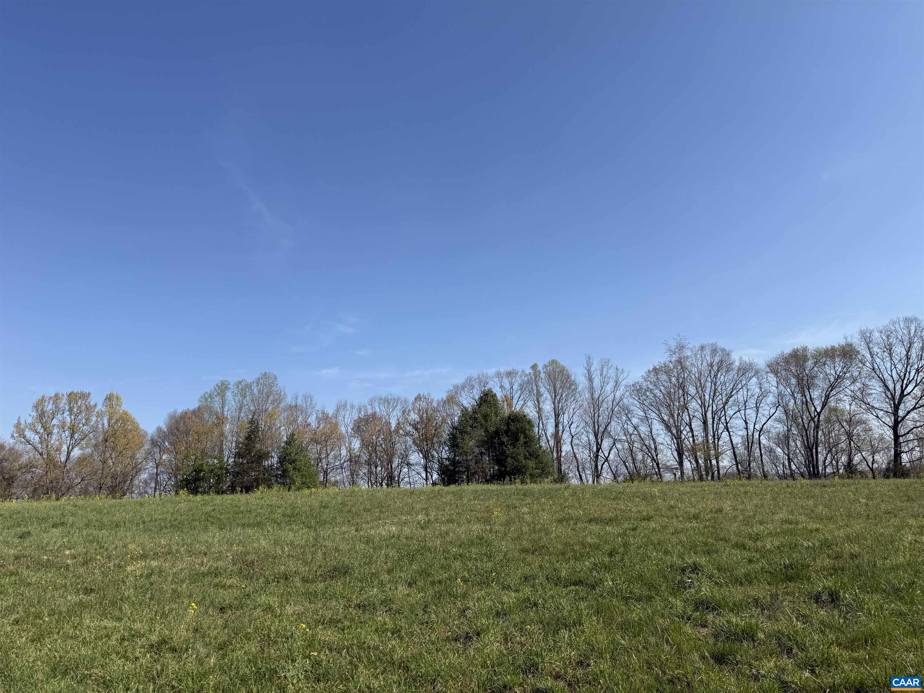0 PAYNES POND RD, SCOTTSVILLE, Virginia 24590, ,Farm,0 PAYNES POND RD,677374 MLS # 677374