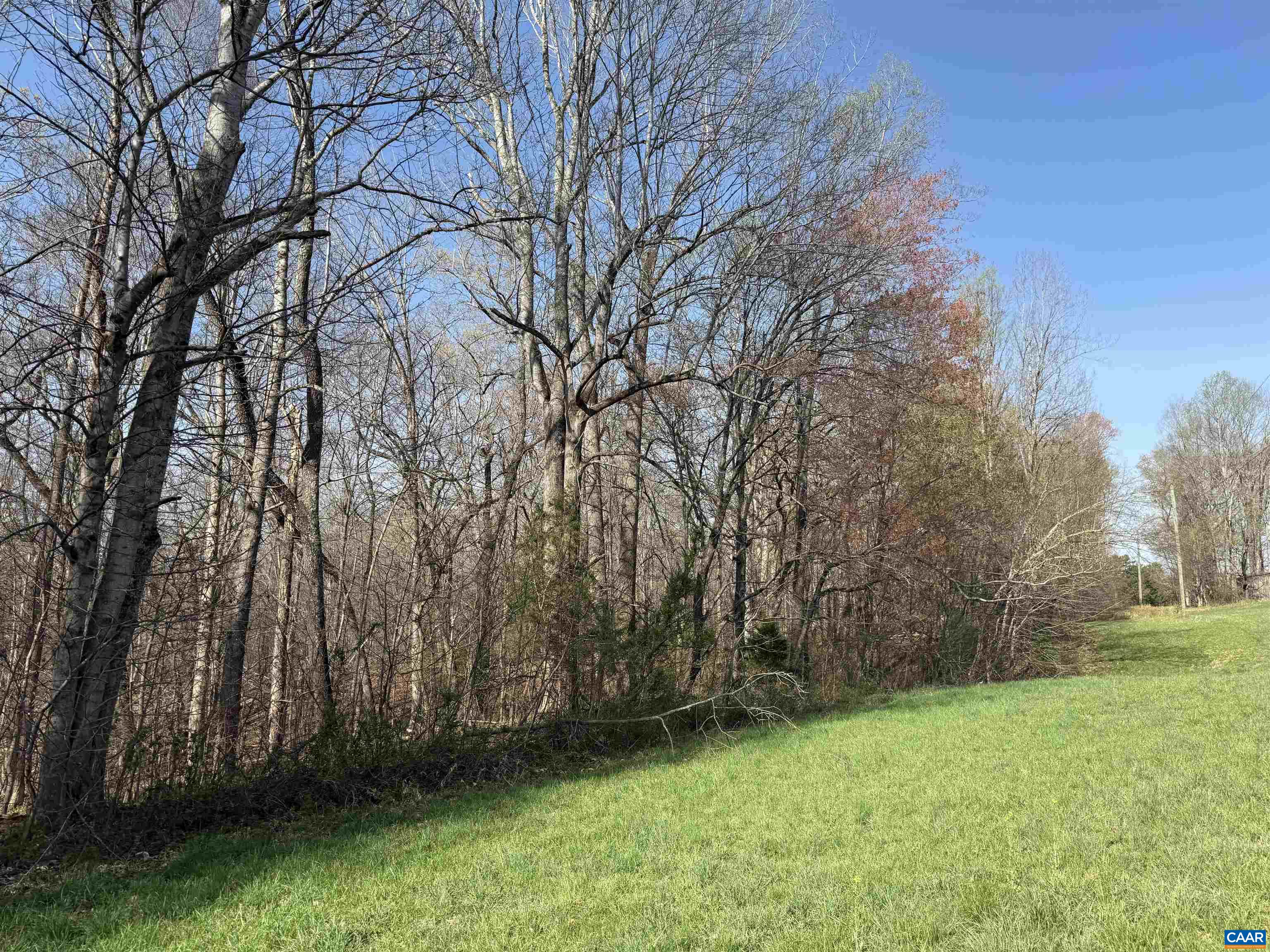 0 PAYNES POND RD, SCOTTSVILLE, Virginia 24590, ,Farm,0 PAYNES POND RD,677374 MLS # 677374
