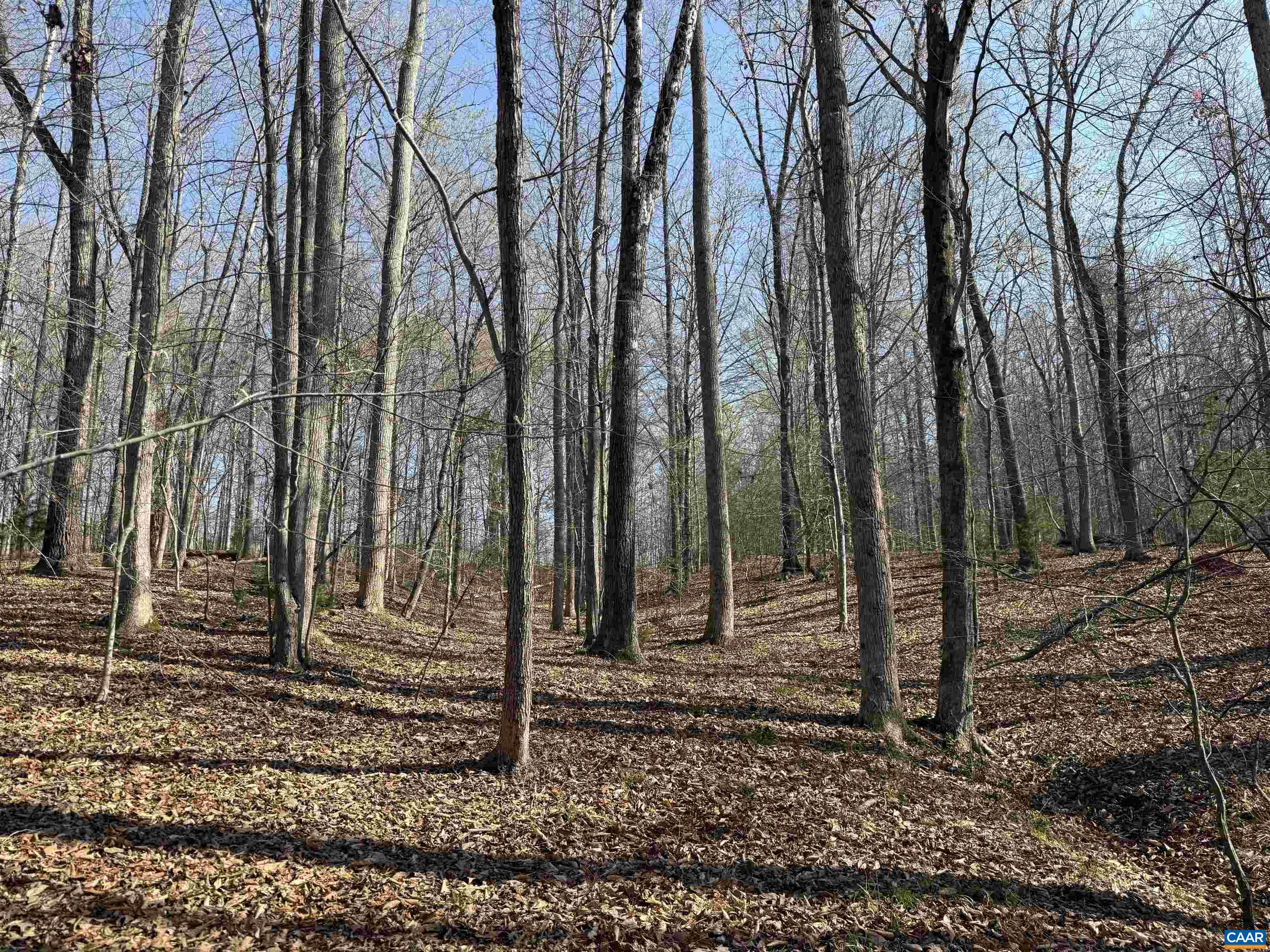 0 PAYNES POND RD, SCOTTSVILLE, Virginia 24590, ,Farm,0 PAYNES POND RD,677374 MLS # 677374