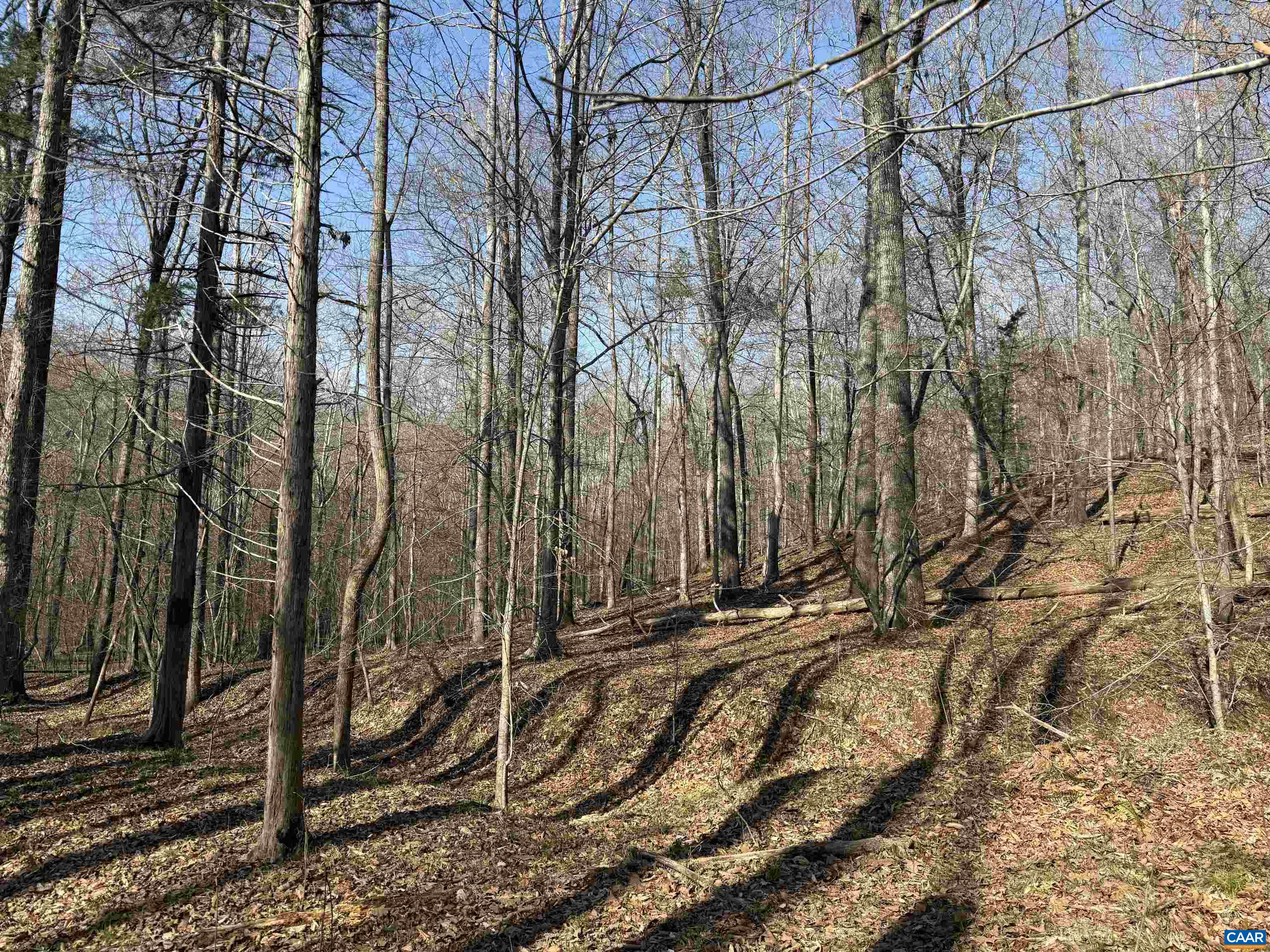 0 PAYNES POND RD, SCOTTSVILLE, Virginia 24590, ,Farm,0 PAYNES POND RD,677374 MLS # 677374