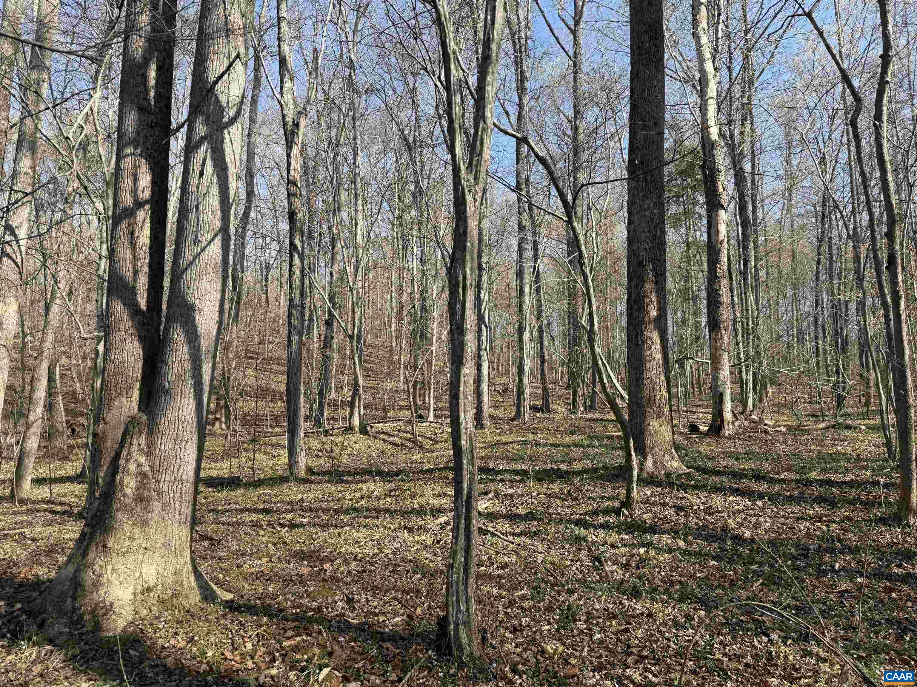 0 PAYNES POND RD, SCOTTSVILLE, Virginia 24590, ,Farm,0 PAYNES POND RD,677374 MLS # 677374