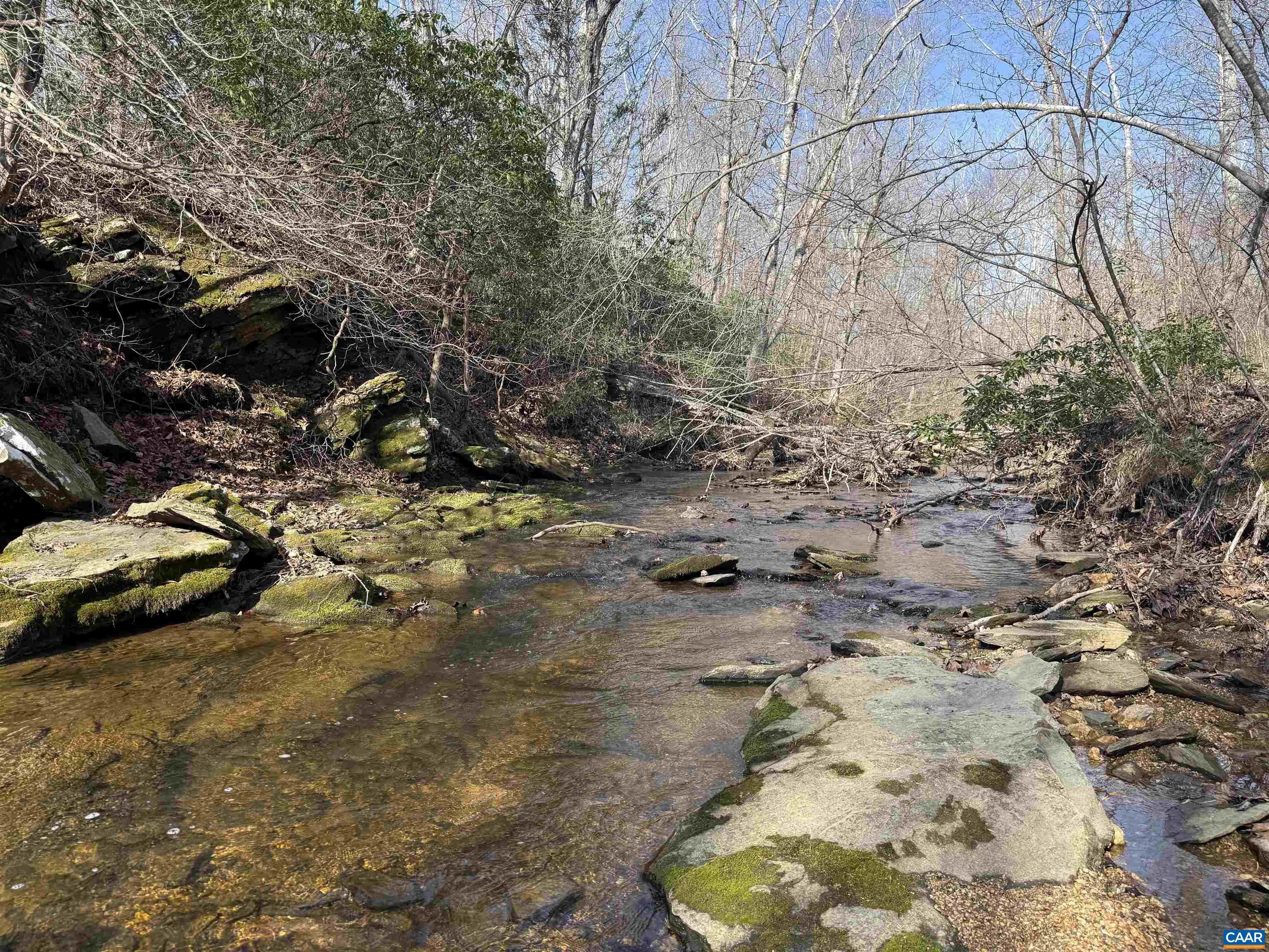 0 PAYNES POND RD, SCOTTSVILLE, Virginia 24590, ,Farm,0 PAYNES POND RD,677374 MLS # 677374