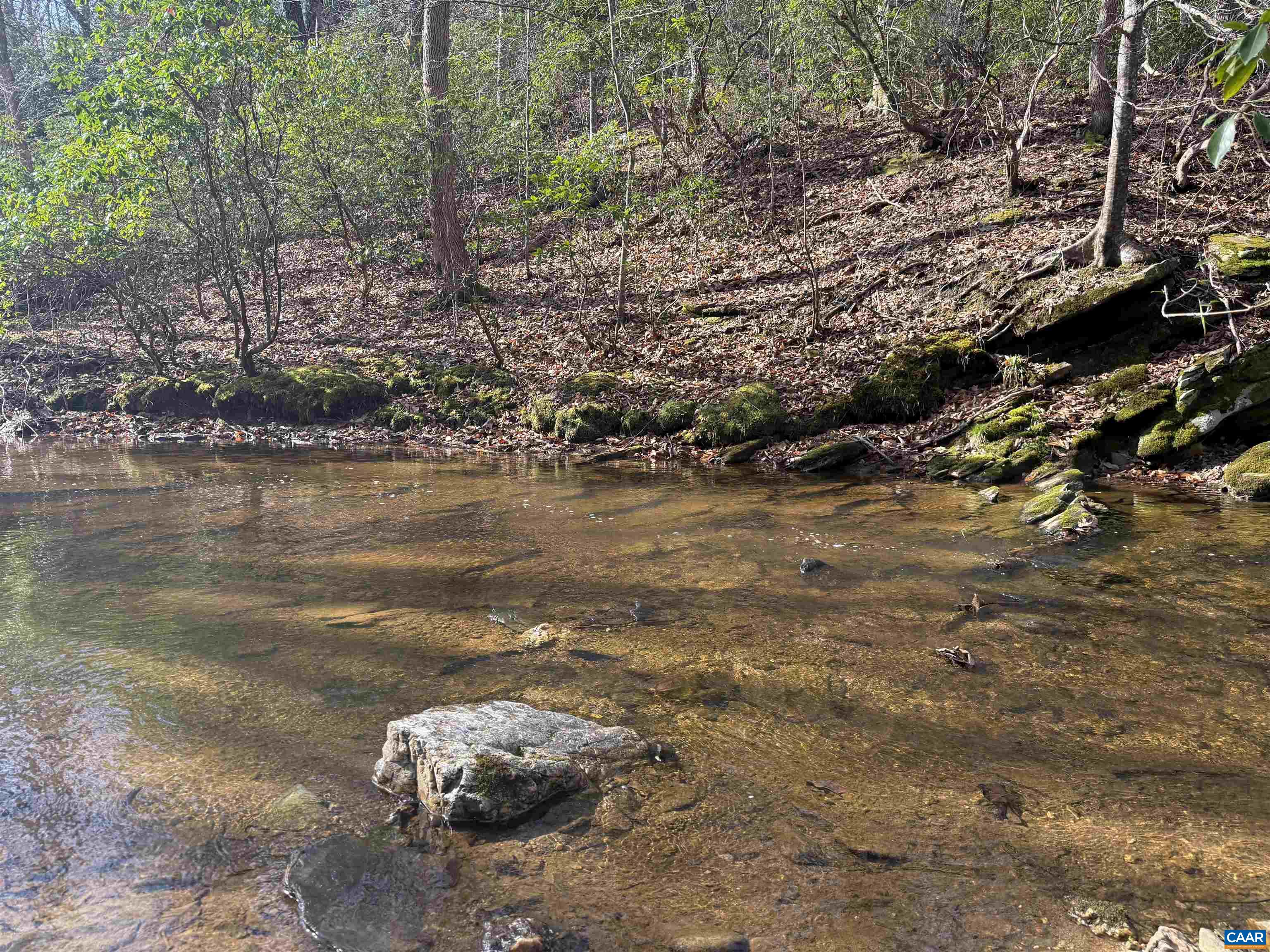 0 PAYNES POND RD, SCOTTSVILLE, Virginia 24590, ,Farm,0 PAYNES POND RD,677374 MLS # 677374