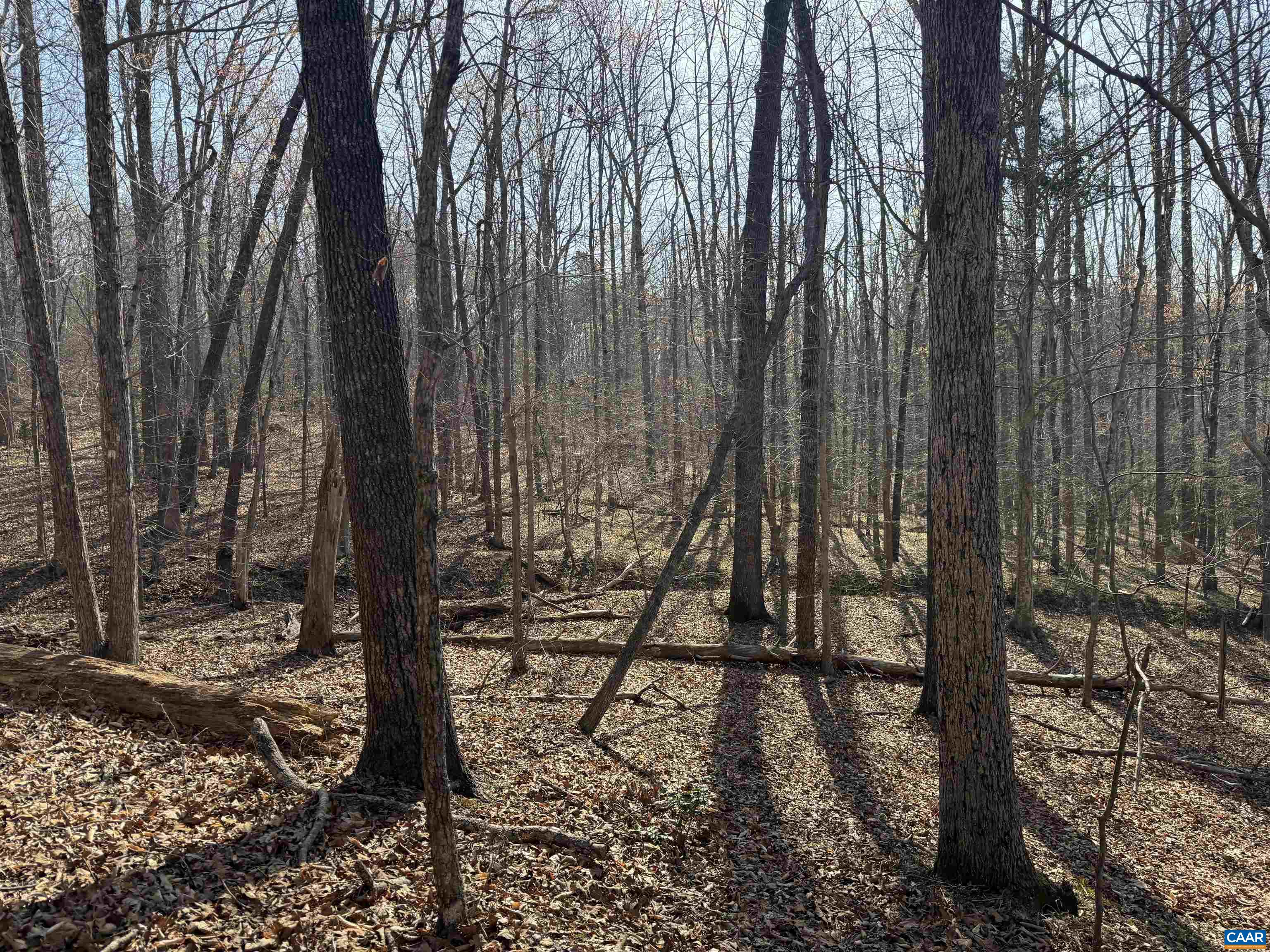 0 PAYNES POND RD, SCOTTSVILLE, Virginia 24590, ,Farm,0 PAYNES POND RD,677374 MLS # 677374