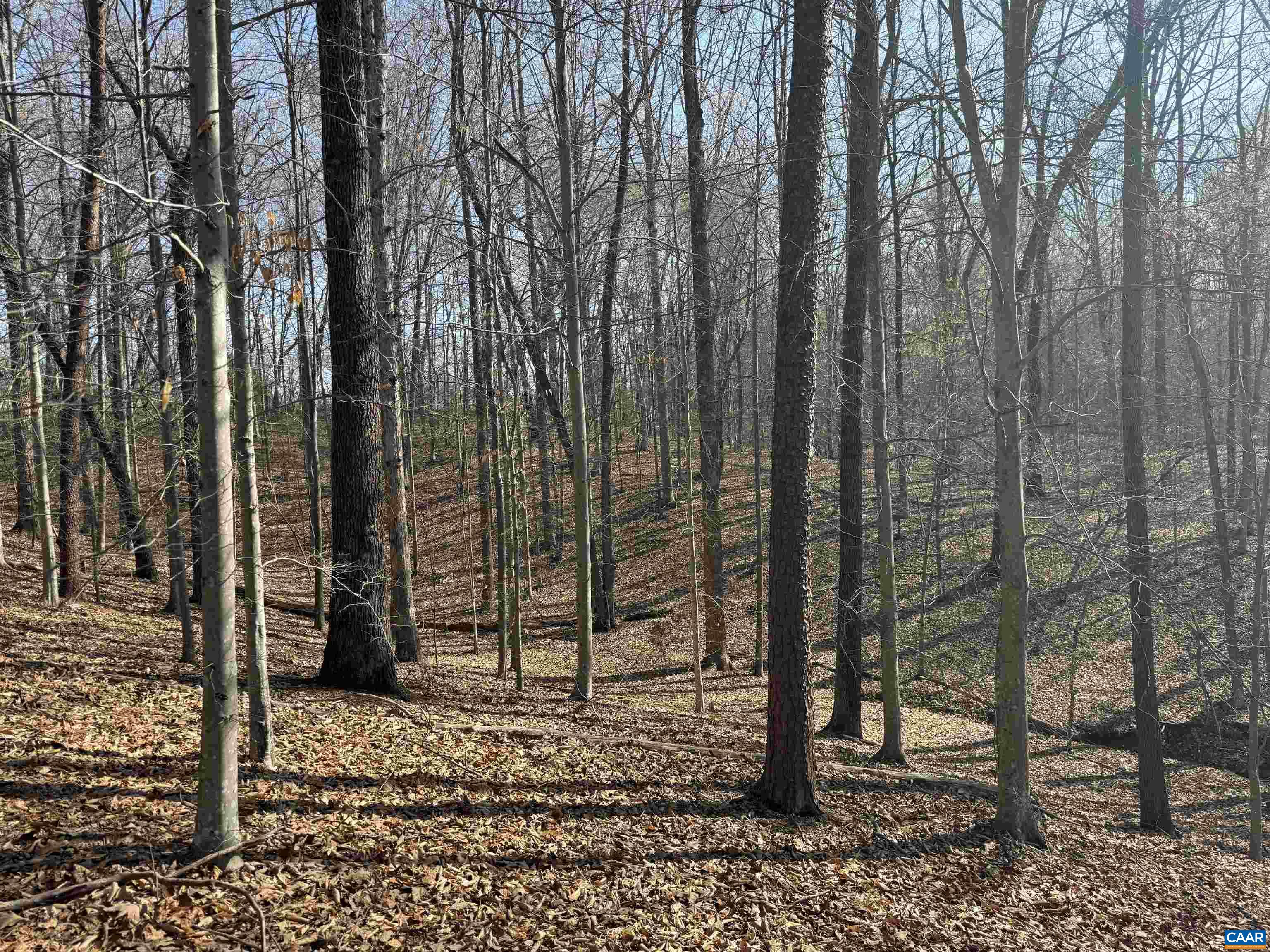 0 PAYNES POND RD, SCOTTSVILLE, Virginia 24590, ,Farm,0 PAYNES POND RD,677374 MLS # 677374