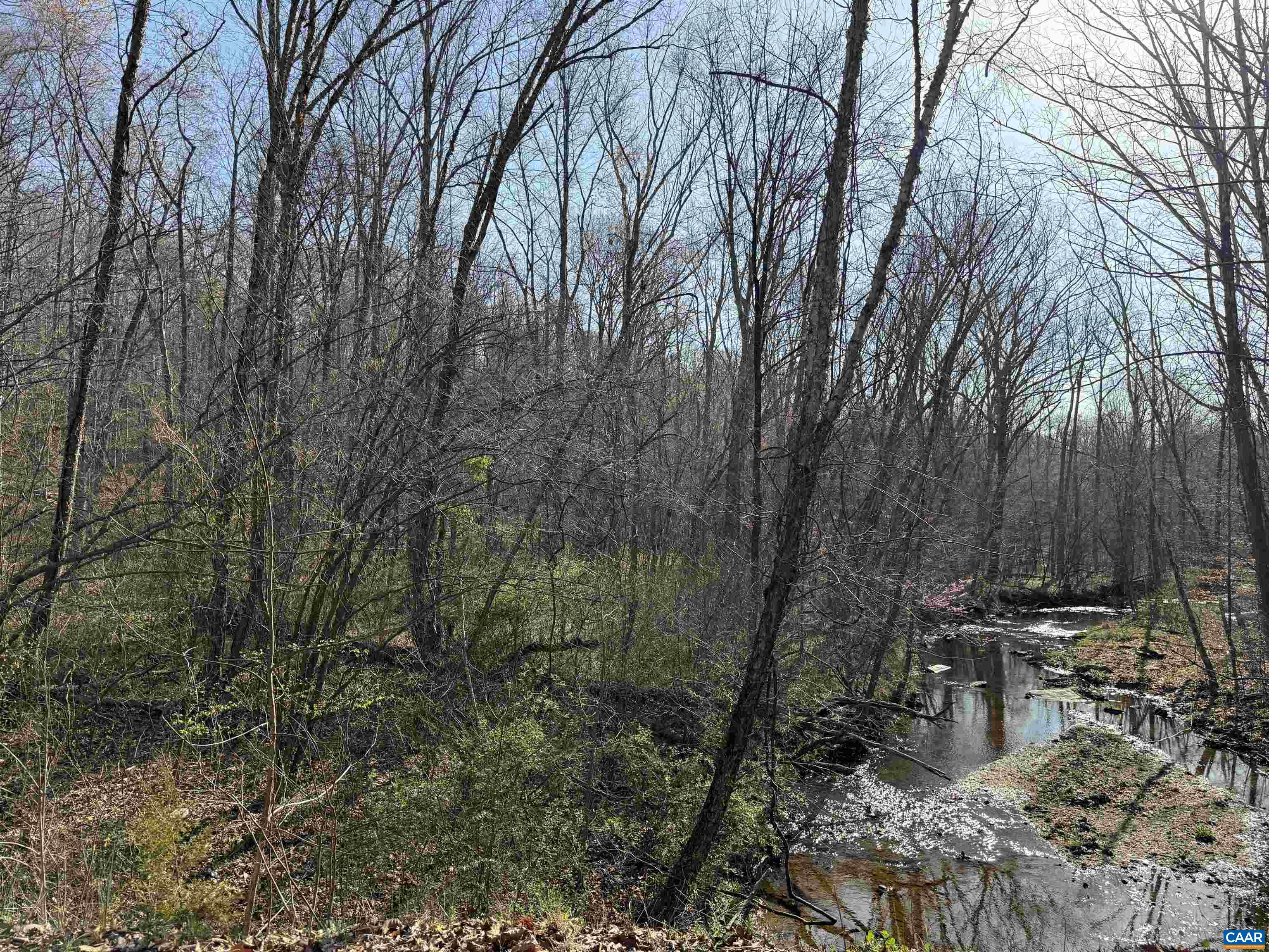 0 PAYNES POND RD, SCOTTSVILLE, Virginia 24590, ,Farm,0 PAYNES POND RD,677374 MLS # 677374
