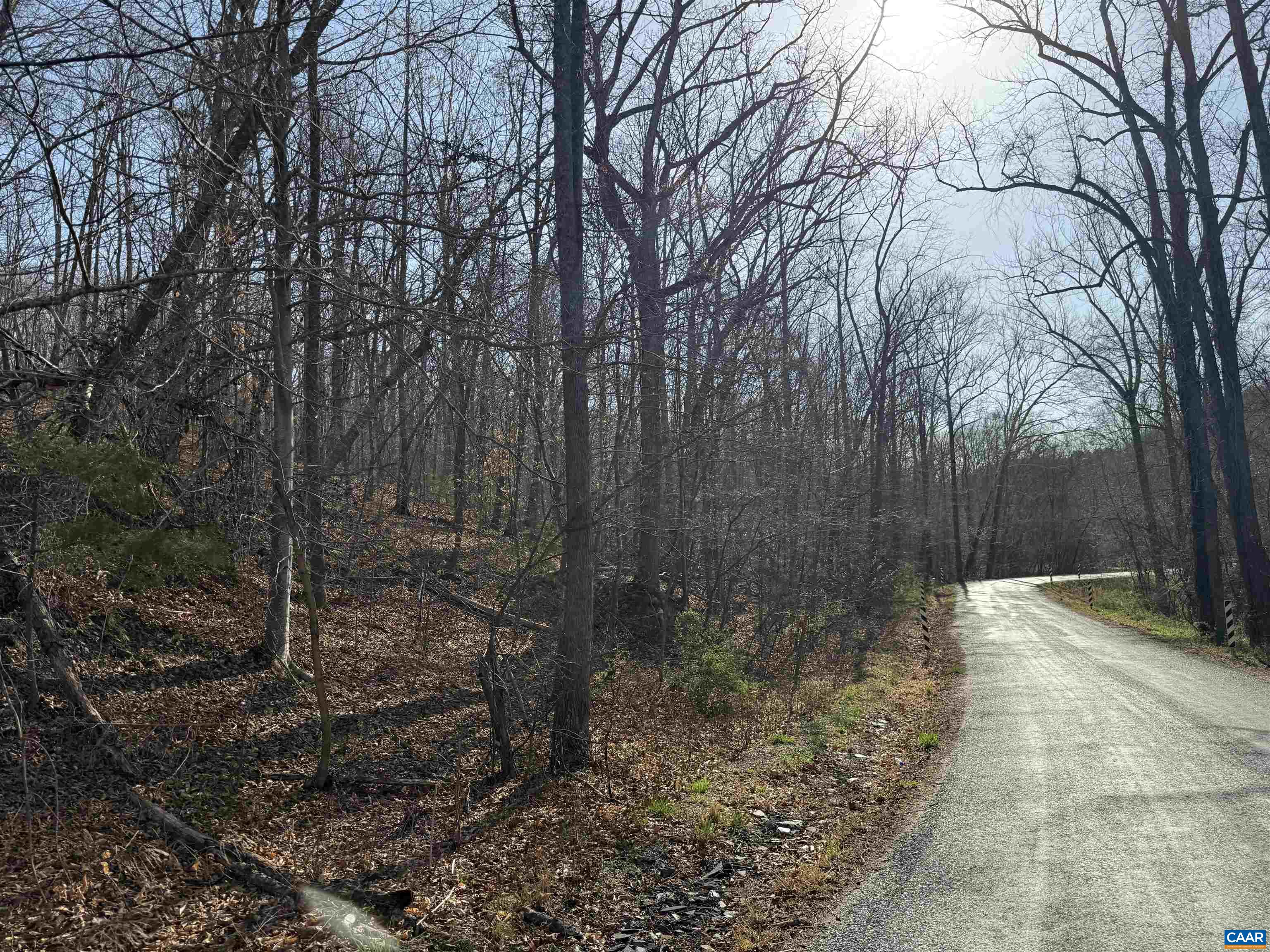 0 PAYNES POND RD, SCOTTSVILLE, Virginia 24590, ,Farm,0 PAYNES POND RD,677374 MLS # 677374