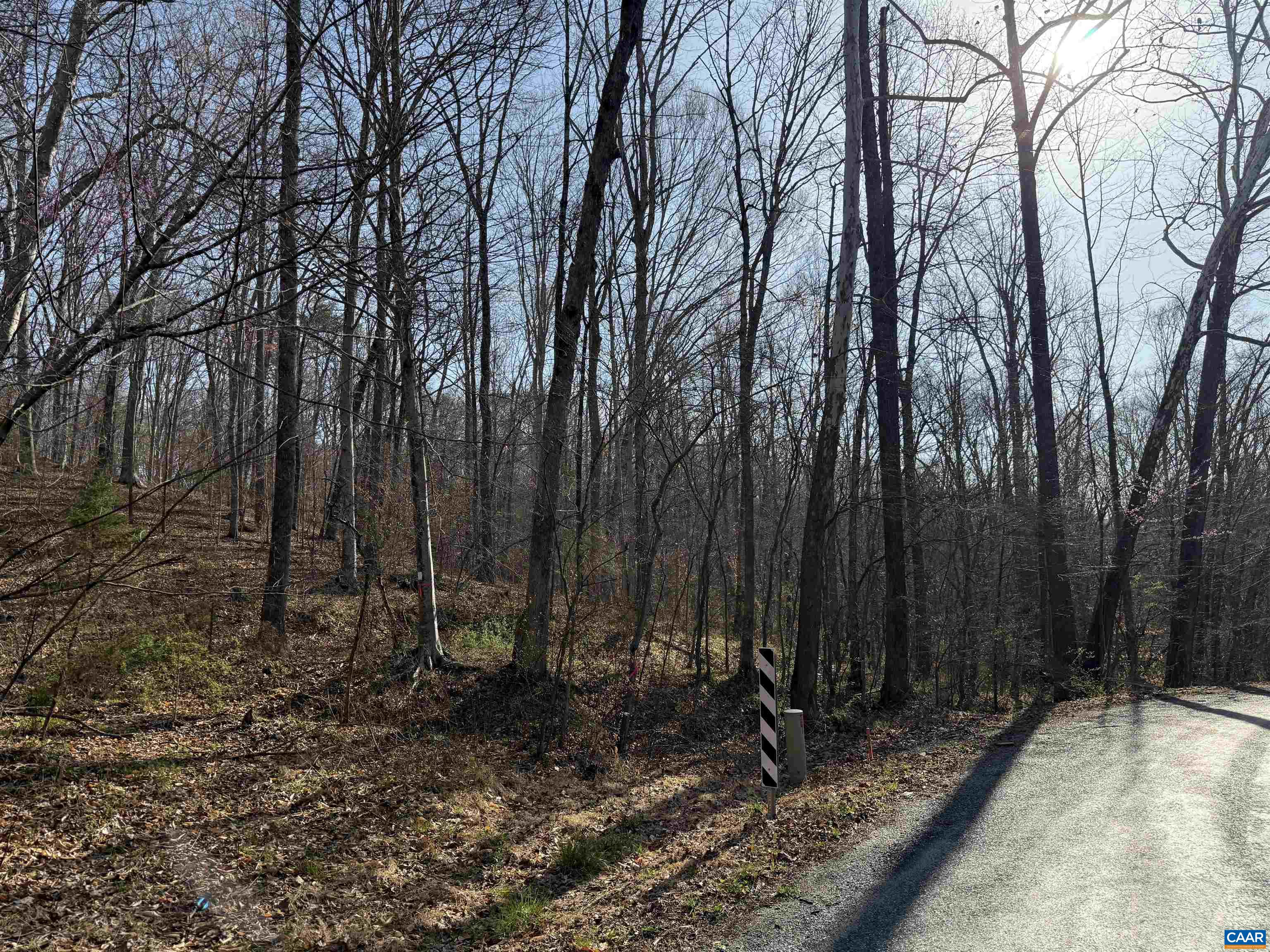 0 PAYNES POND RD, SCOTTSVILLE, Virginia 24590, ,Farm,0 PAYNES POND RD,677374 MLS # 677374