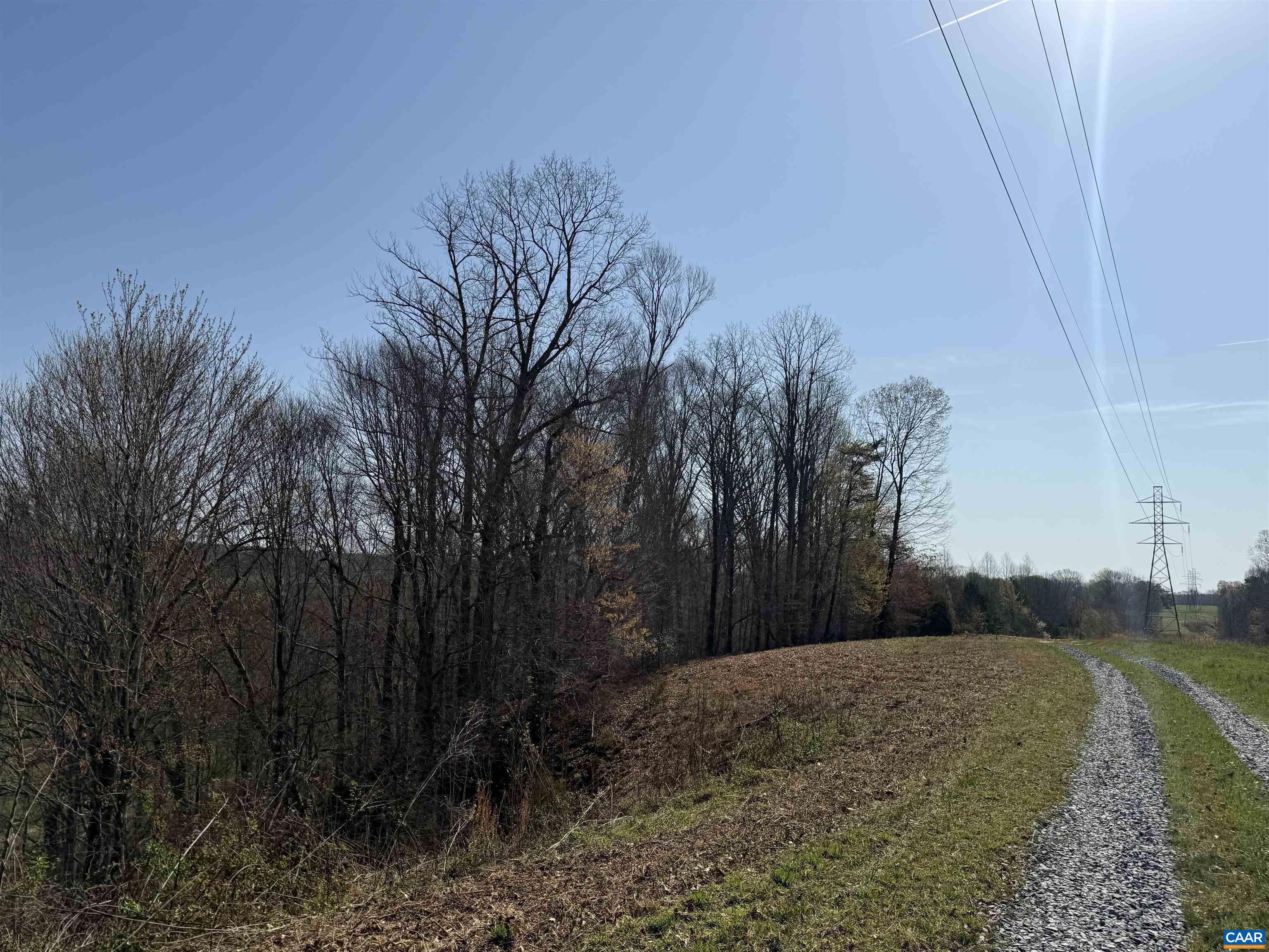 0 PAYNES POND RD, SCOTTSVILLE, Virginia 24590, ,Farm,0 PAYNES POND RD,677374 MLS # 677374
