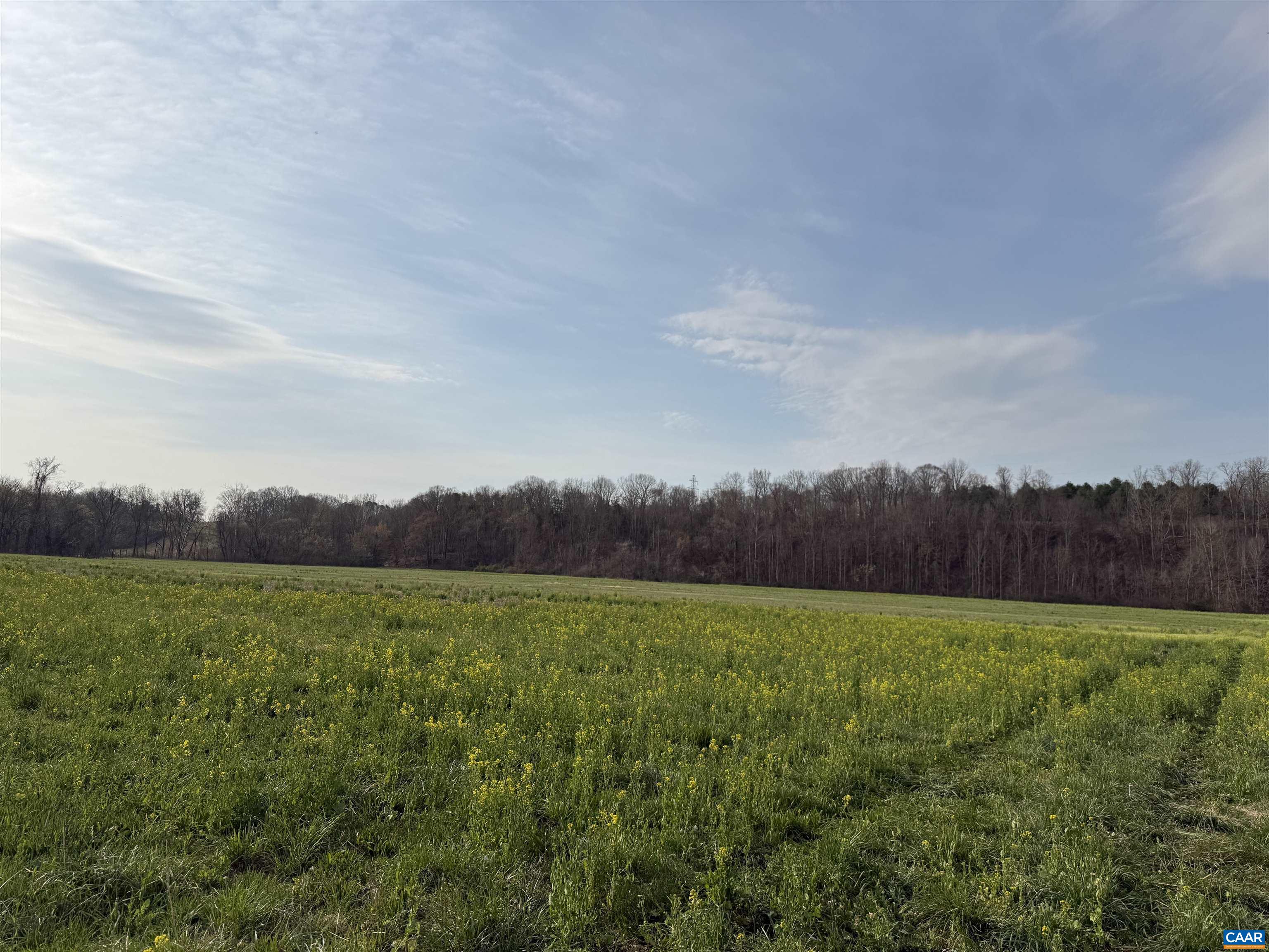 0 PAYNES POND RD, SCOTTSVILLE, Virginia 24590, ,Farm,0 PAYNES POND RD,677374 MLS # 677374