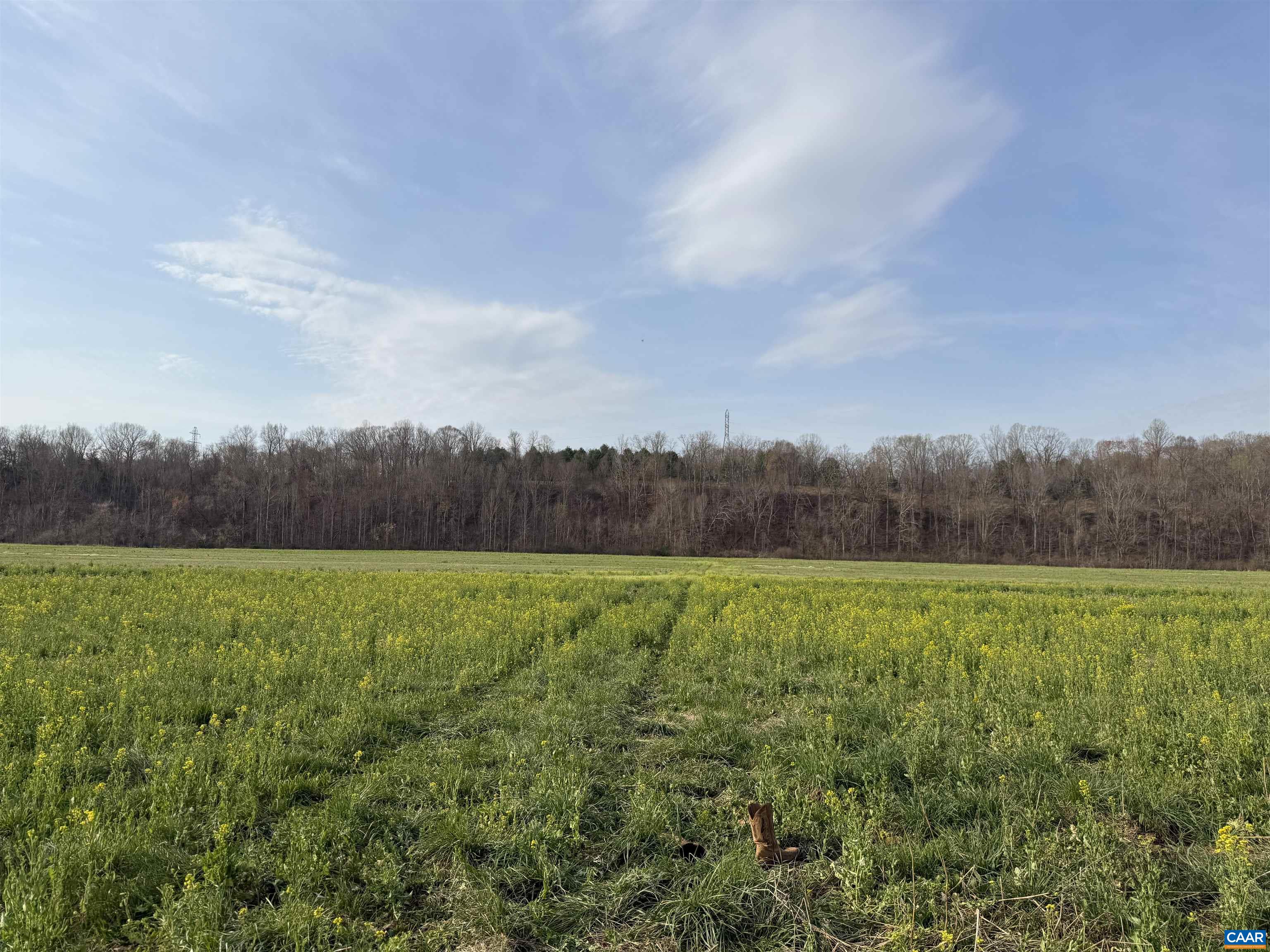 0 PAYNES POND RD, SCOTTSVILLE, Virginia 24590, ,Farm,0 PAYNES POND RD,677374 MLS # 677374