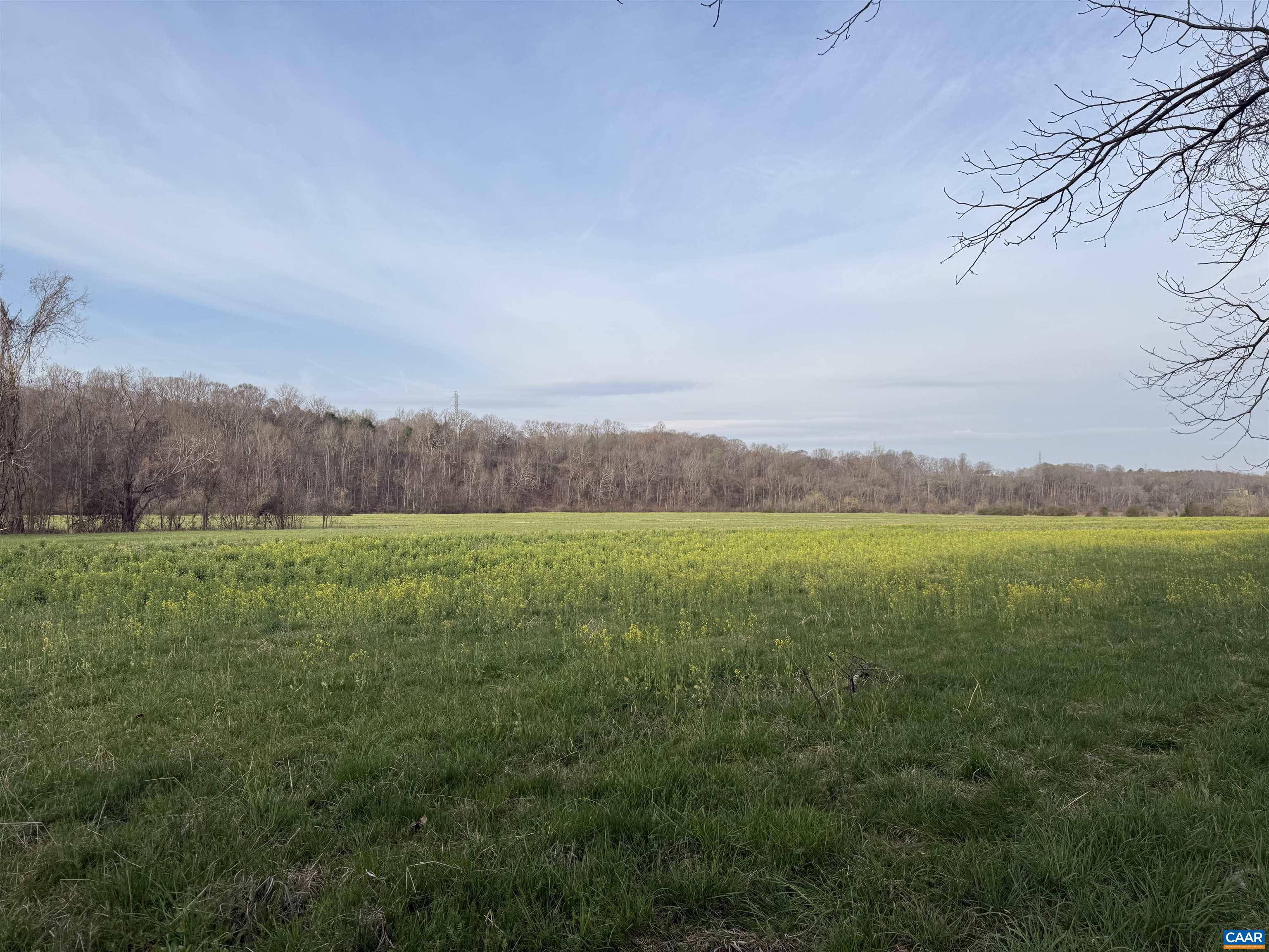 0 PAYNES POND RD, SCOTTSVILLE, Virginia 24590, ,Farm,0 PAYNES POND RD,677374 MLS # 677374