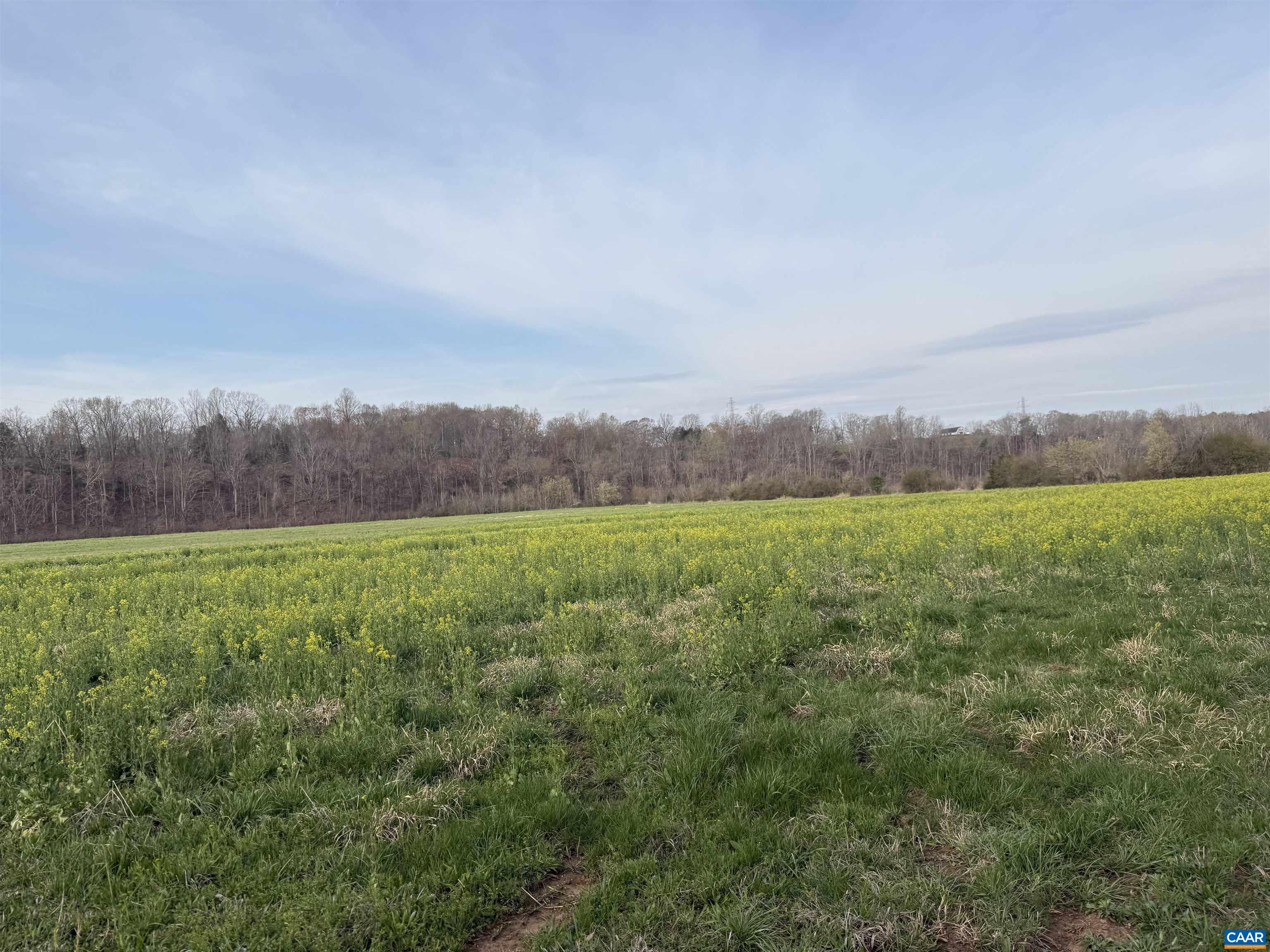 0 PAYNES POND RD, SCOTTSVILLE, Virginia 24590, ,Farm,0 PAYNES POND RD,677374 MLS # 677374