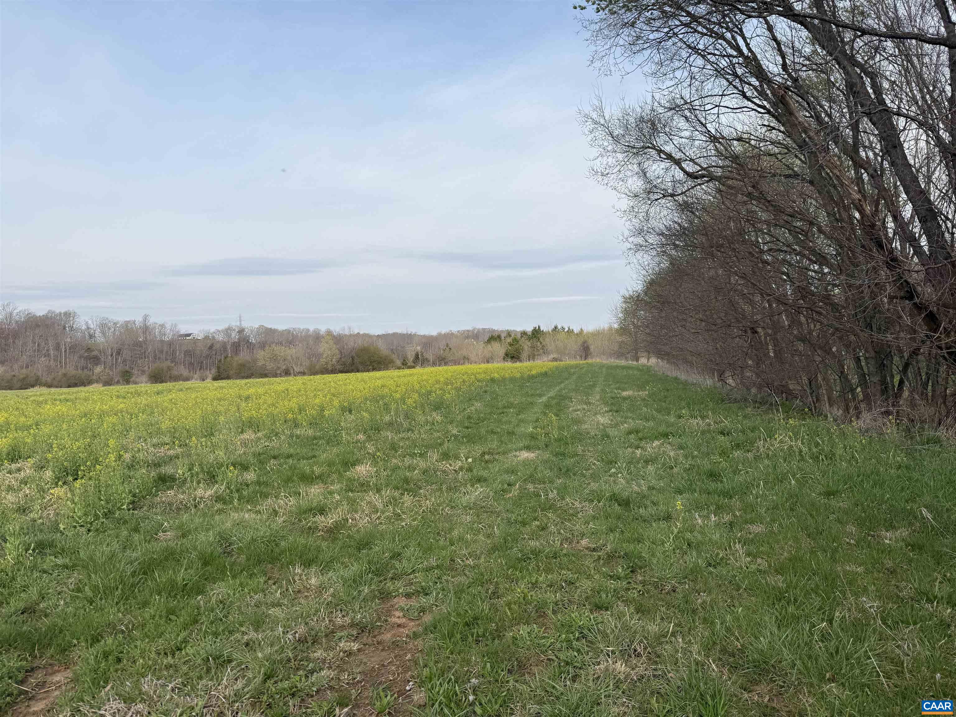 0 PAYNES POND RD, SCOTTSVILLE, Virginia 24590, ,Farm,0 PAYNES POND RD,677374 MLS # 677374