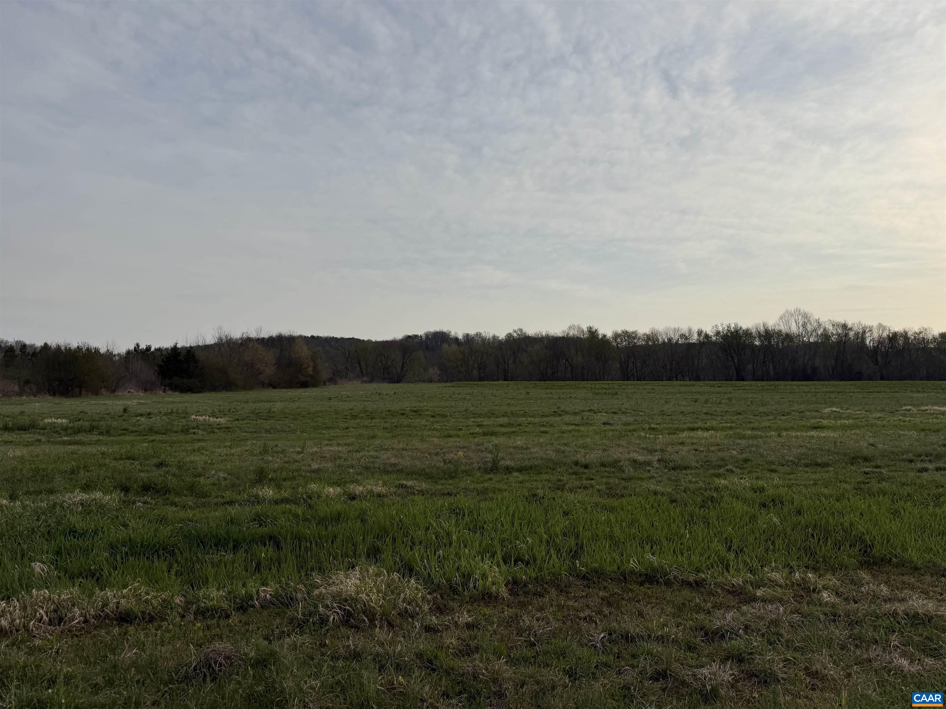 0 PAYNES POND RD, SCOTTSVILLE, Virginia 24590, ,Farm,0 PAYNES POND RD,677374 MLS # 677374