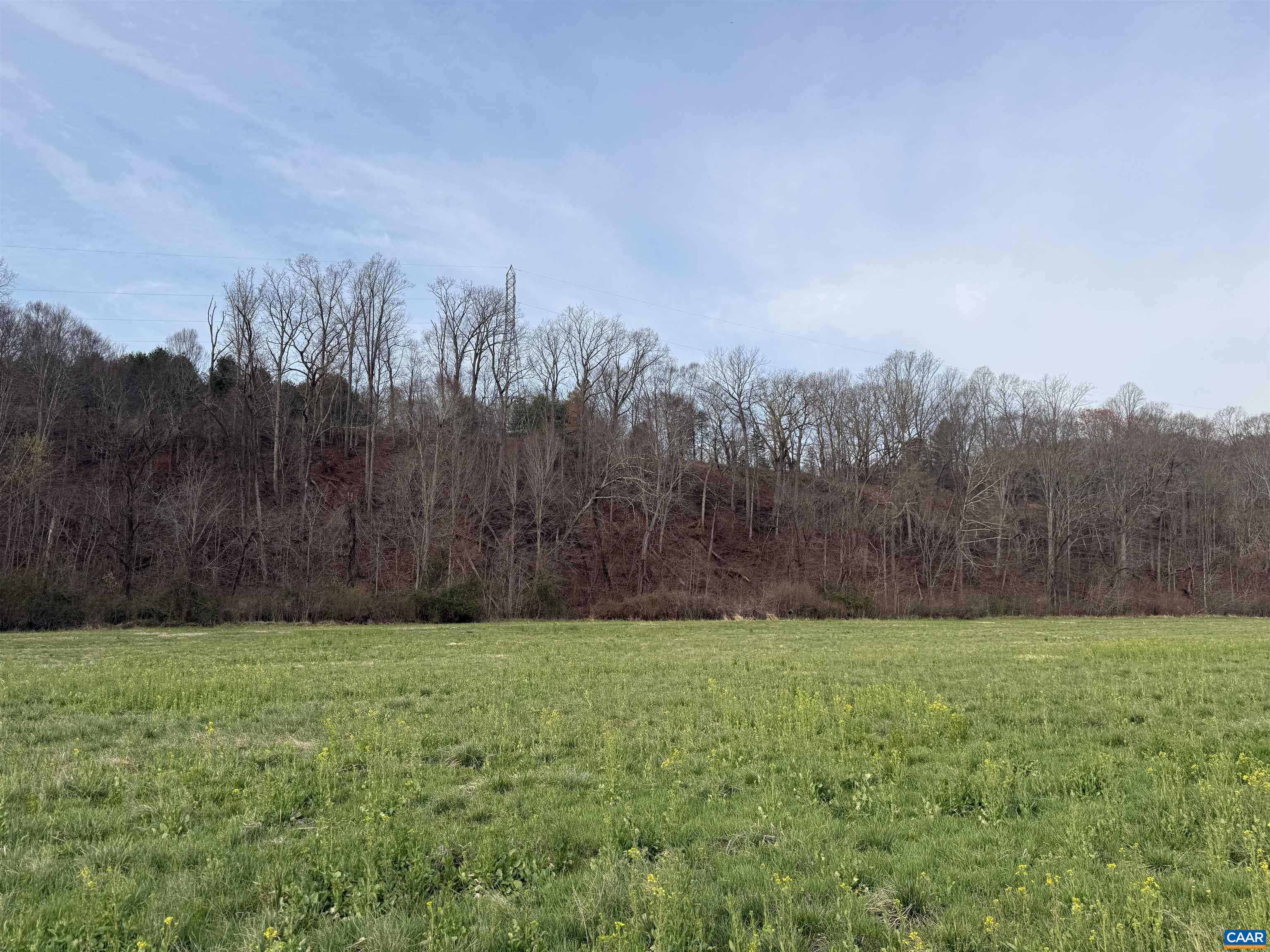 0 PAYNES POND RD, SCOTTSVILLE, Virginia 24590, ,Farm,0 PAYNES POND RD,677374 MLS # 677374