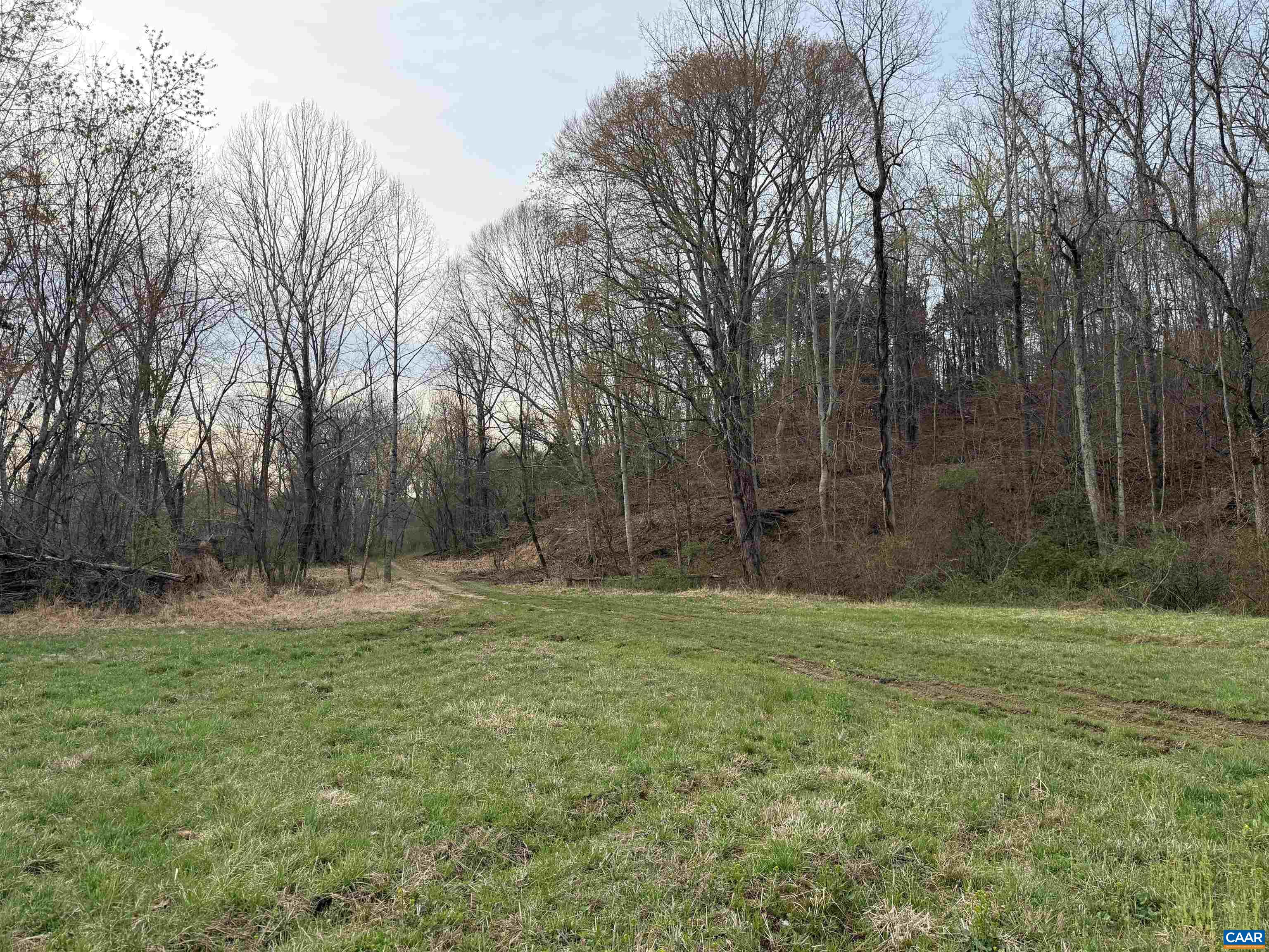 0 PAYNES POND RD, SCOTTSVILLE, Virginia 24590, ,Farm,0 PAYNES POND RD,677374 MLS # 677374