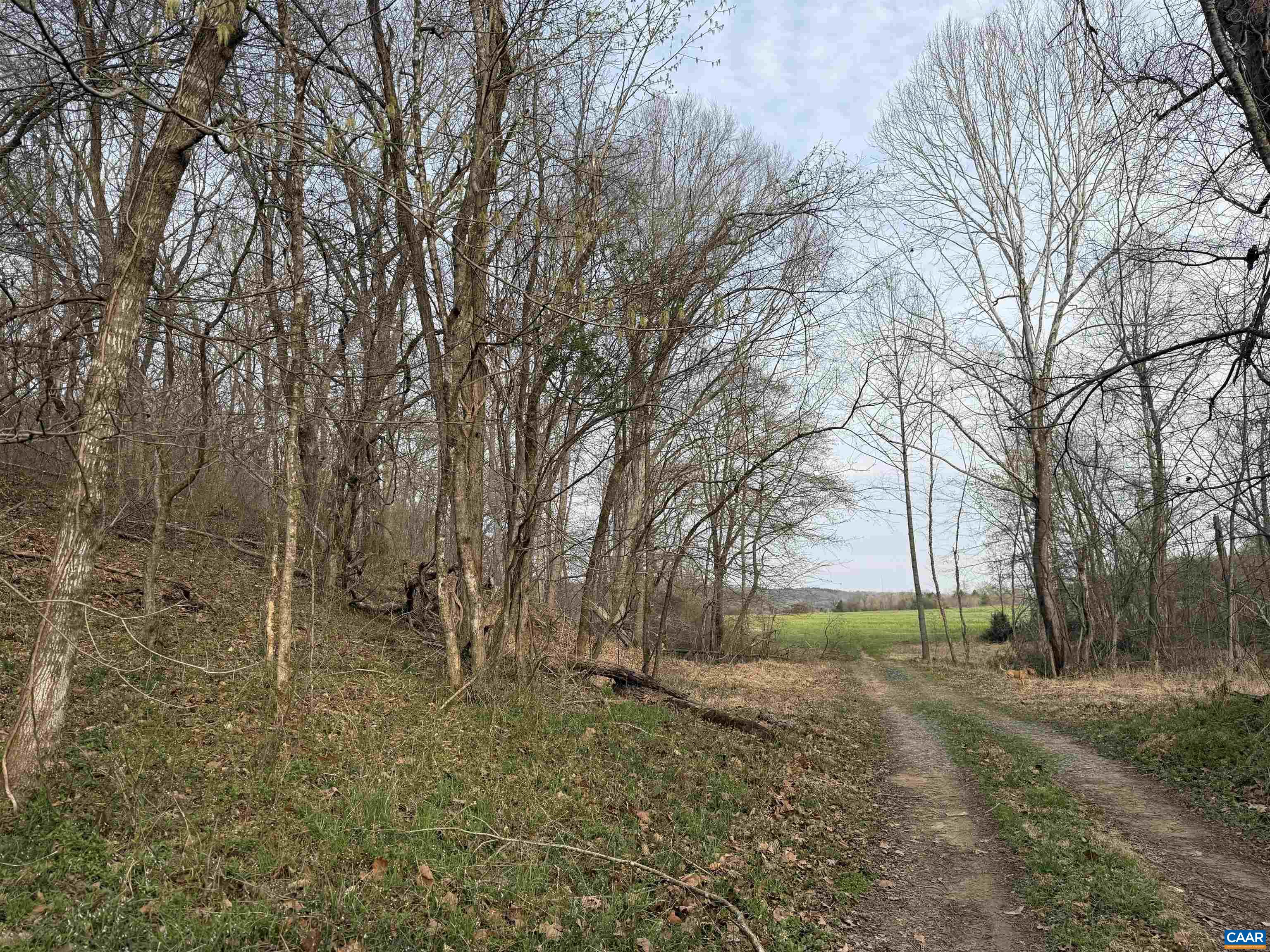 0 PAYNES POND RD, SCOTTSVILLE, Virginia 24590, ,Farm,0 PAYNES POND RD,677374 MLS # 677374