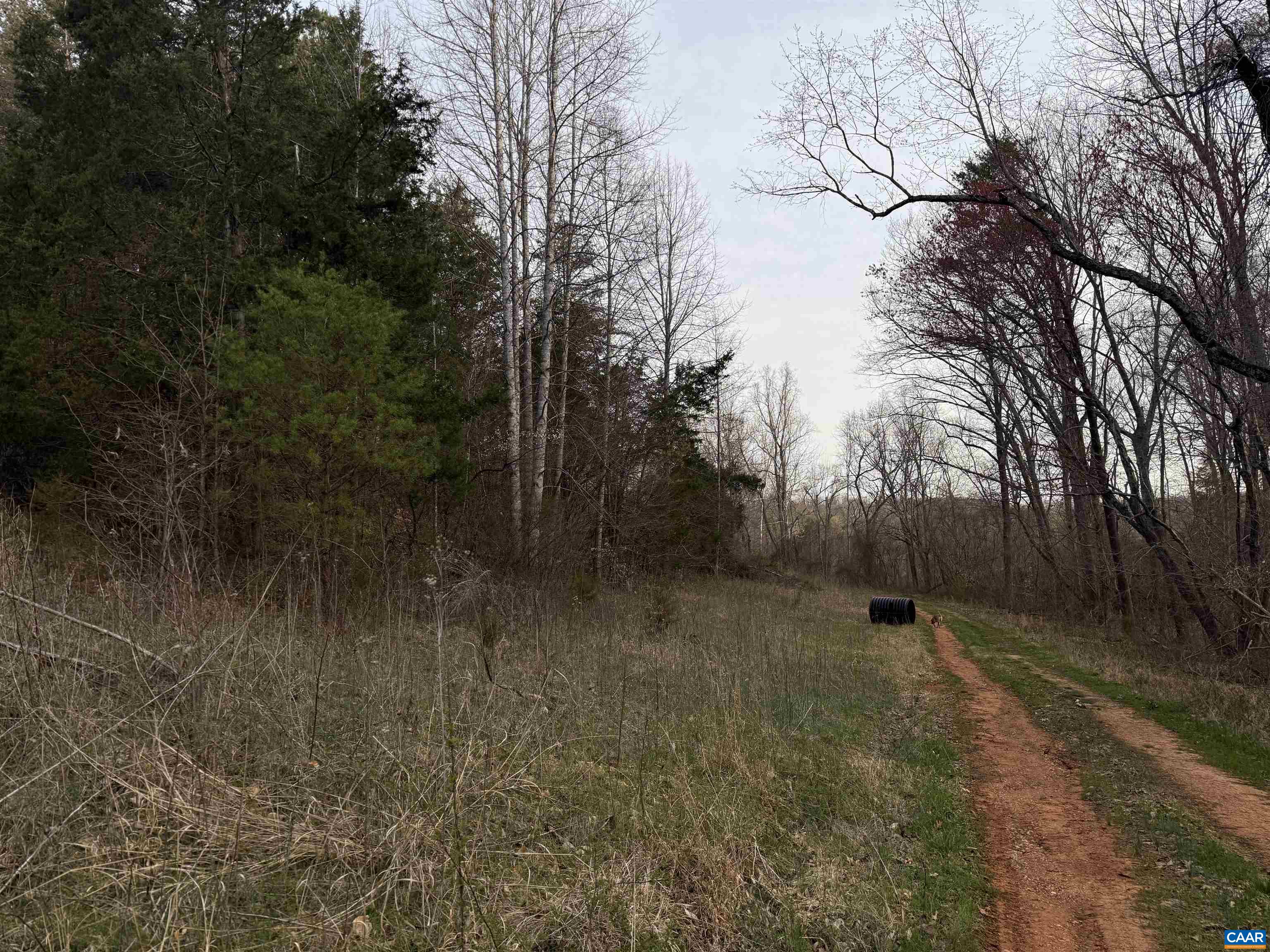 0 PAYNES POND RD, SCOTTSVILLE, Virginia 24590, ,Farm,0 PAYNES POND RD,677374 MLS # 677374