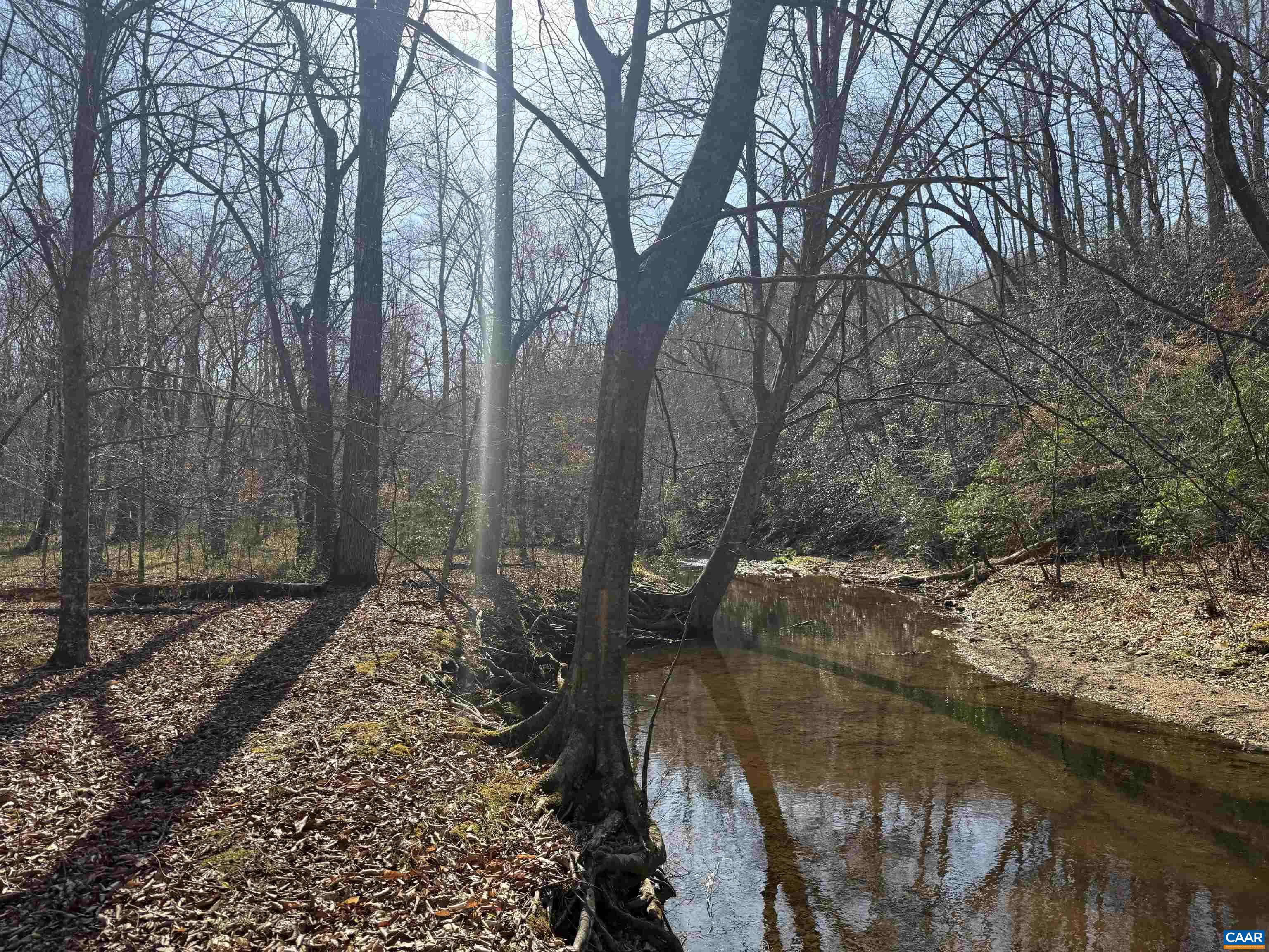 0 PAYNES POND RD, SCOTTSVILLE, Virginia 24590, ,Farm,0 PAYNES POND RD,677374 MLS # 677374