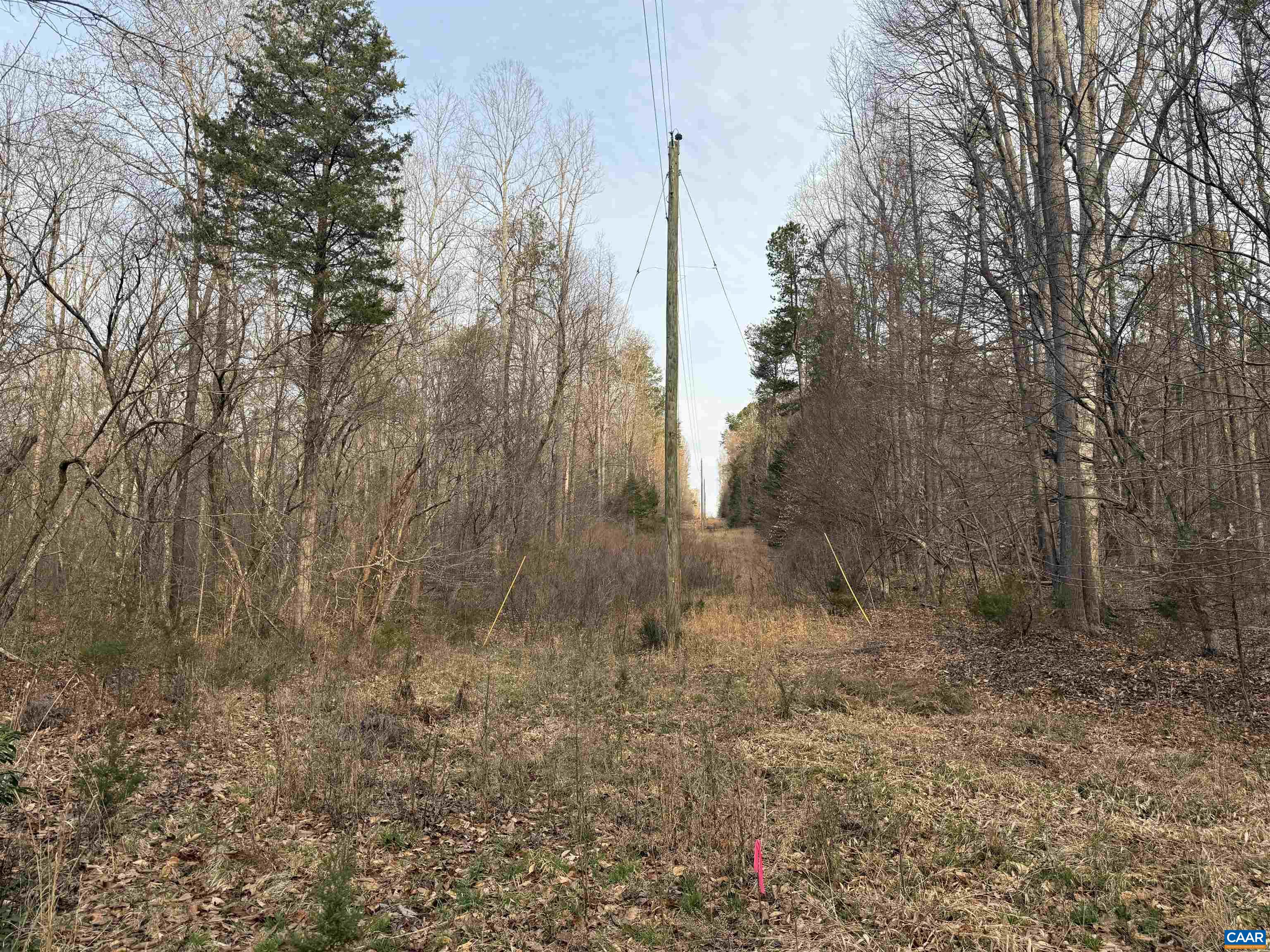 0 PAYNES POND RD, SCOTTSVILLE, Virginia 24590, ,Farm,0 PAYNES POND RD,677374 MLS # 677374