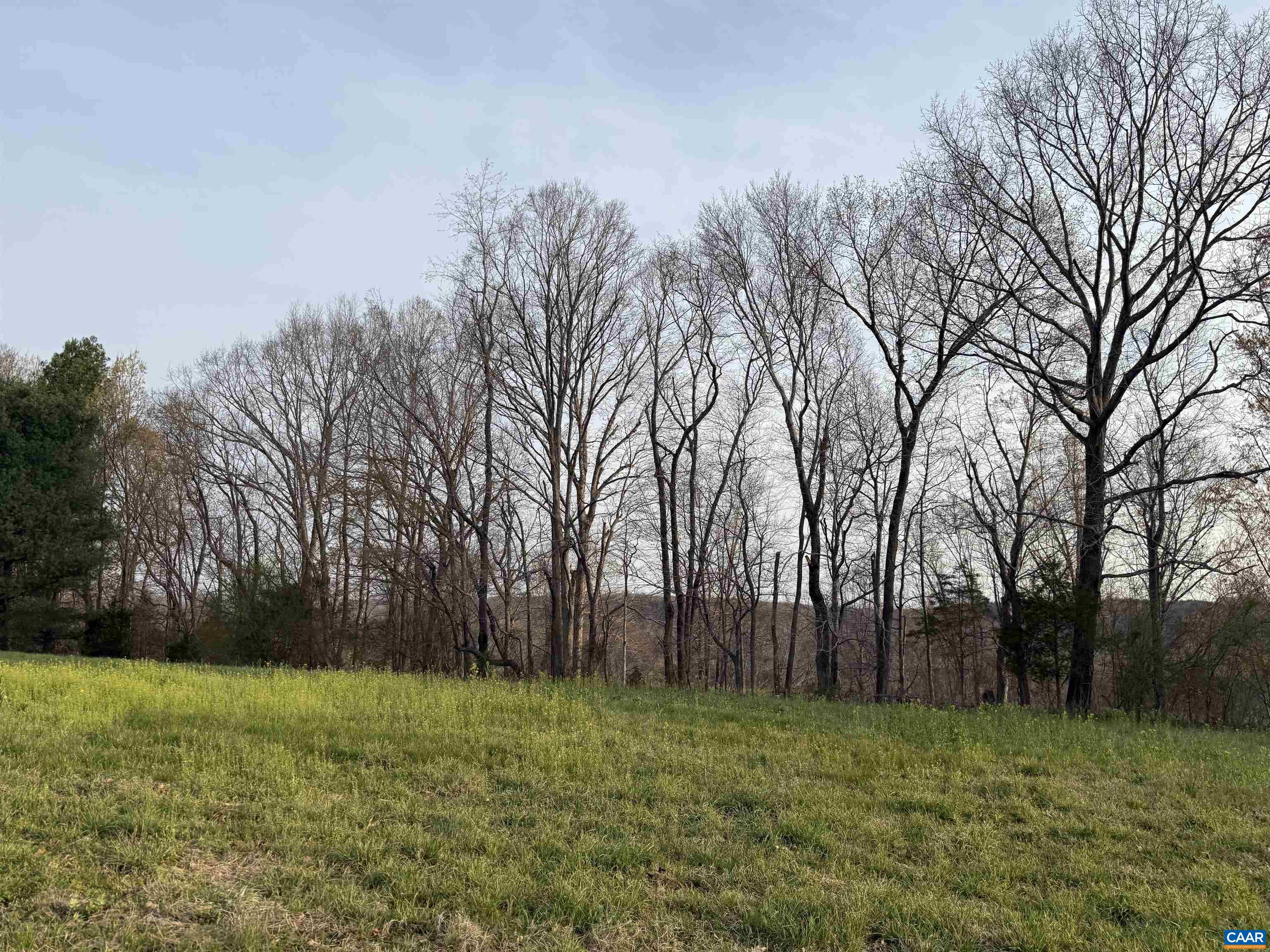 0 PAYNES POND RD, SCOTTSVILLE, Virginia 24590, ,Farm,0 PAYNES POND RD,677374 MLS # 677374