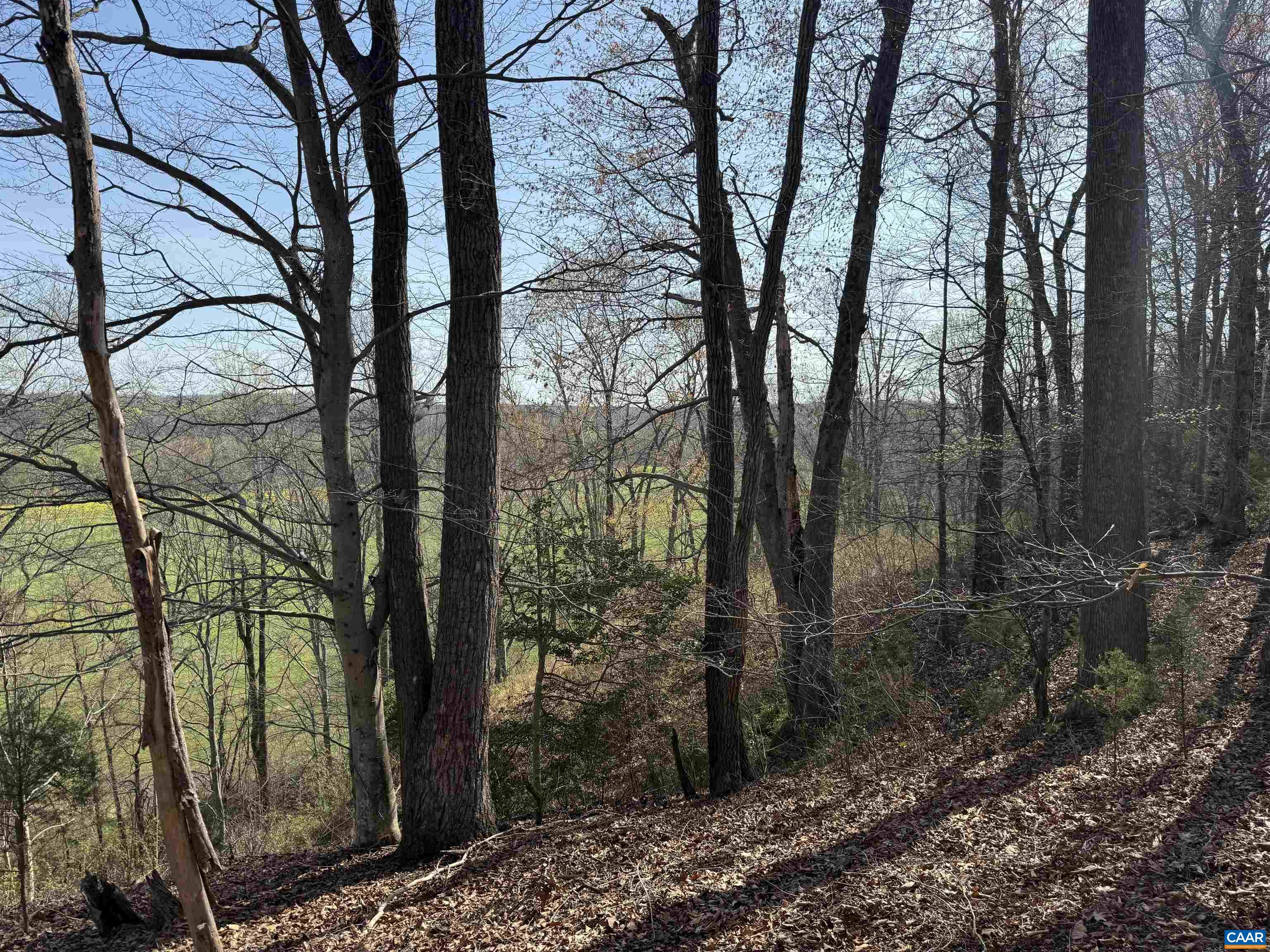 0 PAYNES POND RD, SCOTTSVILLE, Virginia 24590, ,Farm,0 PAYNES POND RD,677374 MLS # 677374