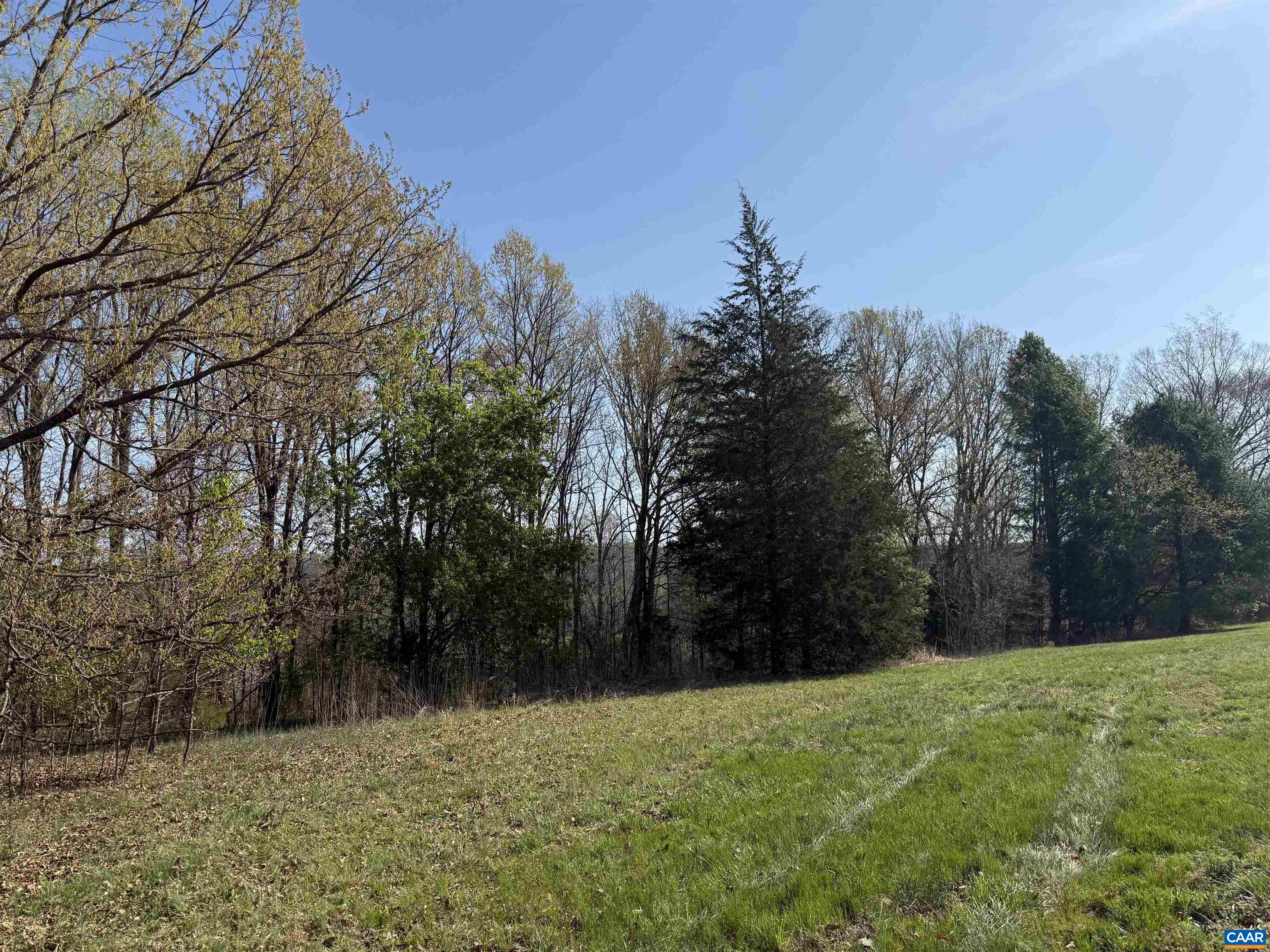 0 PAYNES POND RD, SCOTTSVILLE, Virginia 24590, ,Farm,0 PAYNES POND RD,677374 MLS # 677374