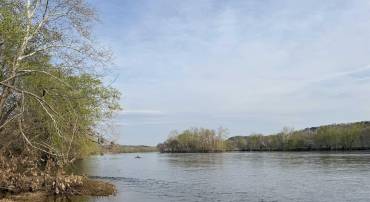 0 PAYNES POND RD, SCOTTSVILLE, Virginia 24590, ,Farm,0 PAYNES POND RD,677374 MLS # 677374