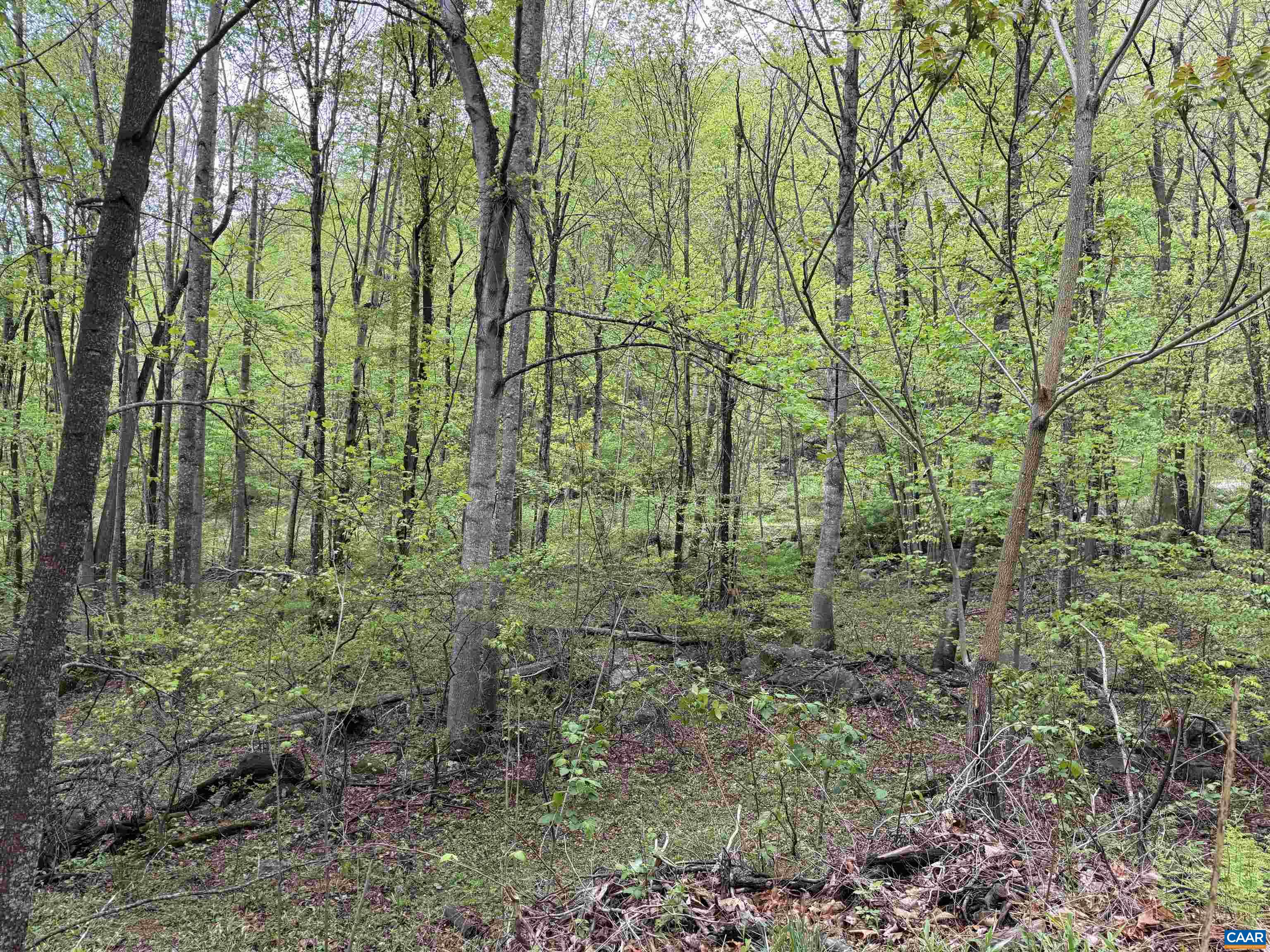 0 BLACK ROCK LN, INDEPENDENCE, Virginia 24348, ,Farm,0 BLACK ROCK LN,677377 MLS # 677377 0 BLACK ROCK LN, INDEPENDENCE, Virginia 24348, ,Farm,0 BLACK ROCK LN,677377 MLS # 677377