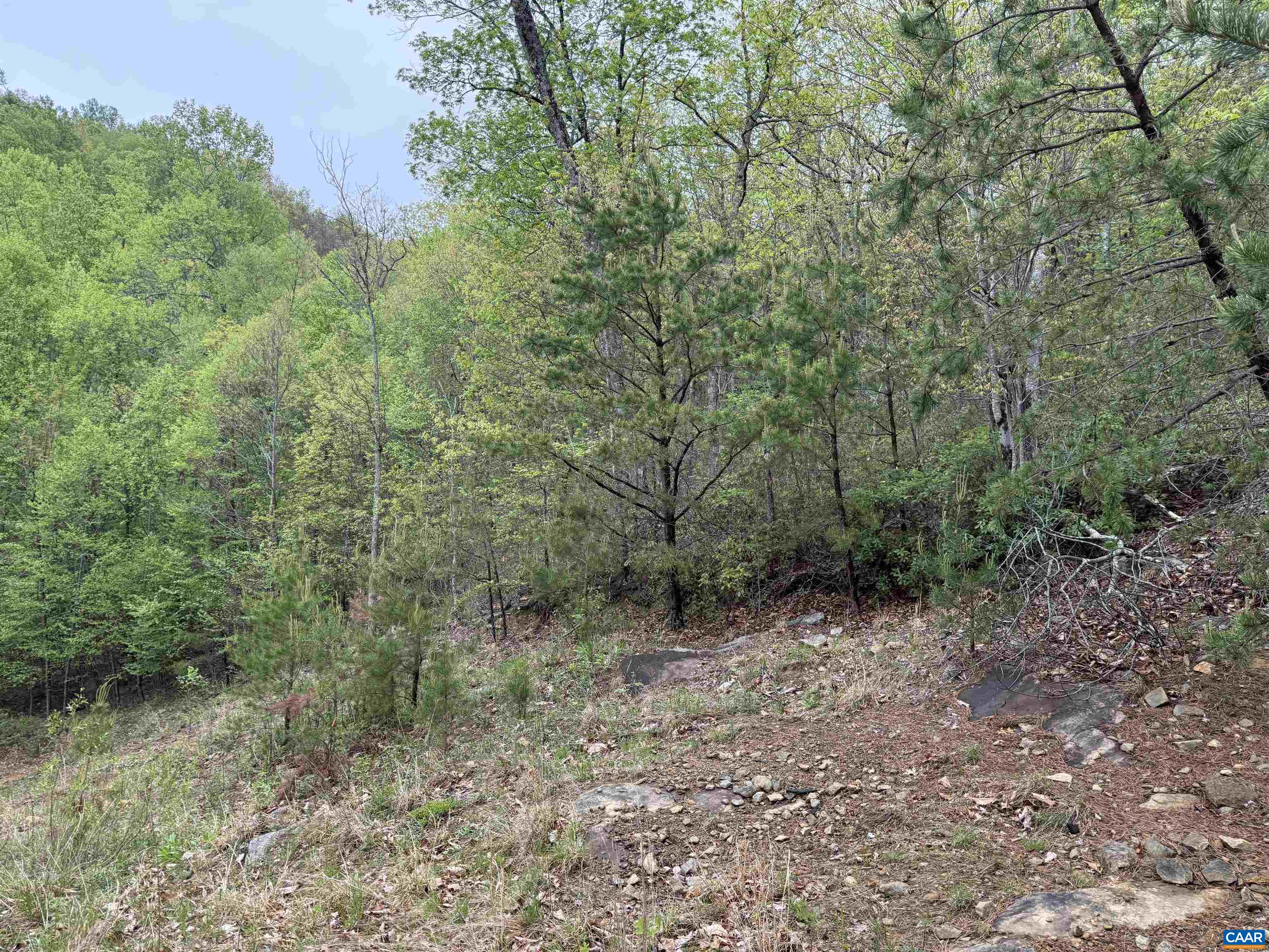 0 BLACK ROCK LN, INDEPENDENCE, Virginia 24348, ,Farm,0 BLACK ROCK LN,677377 MLS # 677377 0 BLACK ROCK LN, INDEPENDENCE, Virginia 24348, ,Farm,0 BLACK ROCK LN,677377 MLS # 677377