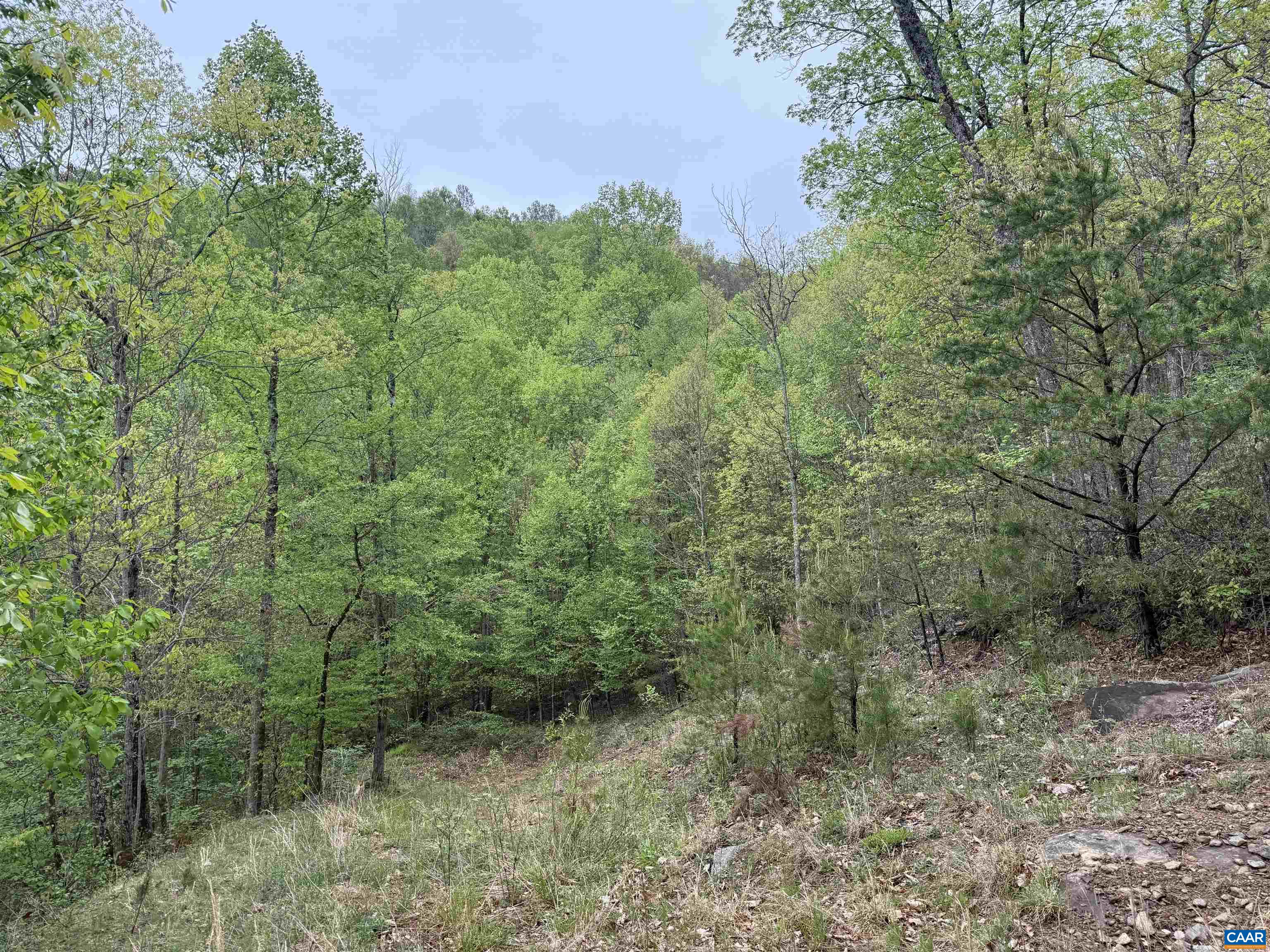 0 BLACK ROCK LN, INDEPENDENCE, Virginia 24348, ,Farm,0 BLACK ROCK LN,677377 MLS # 677377 0 BLACK ROCK LN, INDEPENDENCE, Virginia 24348, ,Farm,0 BLACK ROCK LN,677377 MLS # 677377