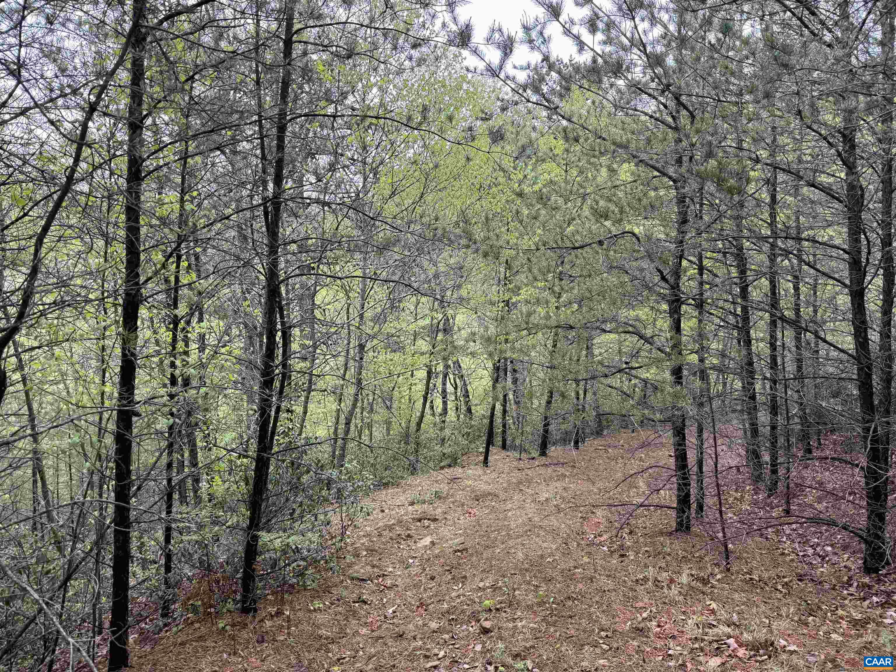 0 BLACK ROCK LN, INDEPENDENCE, Virginia 24348, ,Farm,0 BLACK ROCK LN,677377 MLS # 677377 0 BLACK ROCK LN, INDEPENDENCE, Virginia 24348, ,Farm,0 BLACK ROCK LN,677377 MLS # 677377