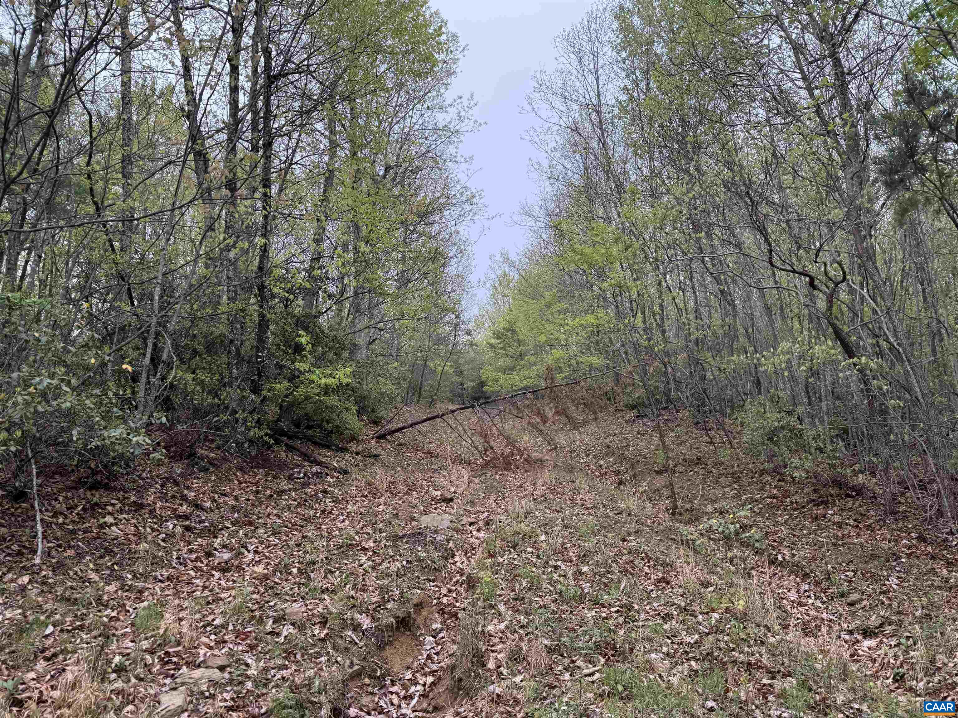0 BLACK ROCK LN, INDEPENDENCE, Virginia 24348, ,Farm,0 BLACK ROCK LN,677377 MLS # 677377 0 BLACK ROCK LN, INDEPENDENCE, Virginia 24348, ,Farm,0 BLACK ROCK LN,677377 MLS # 677377