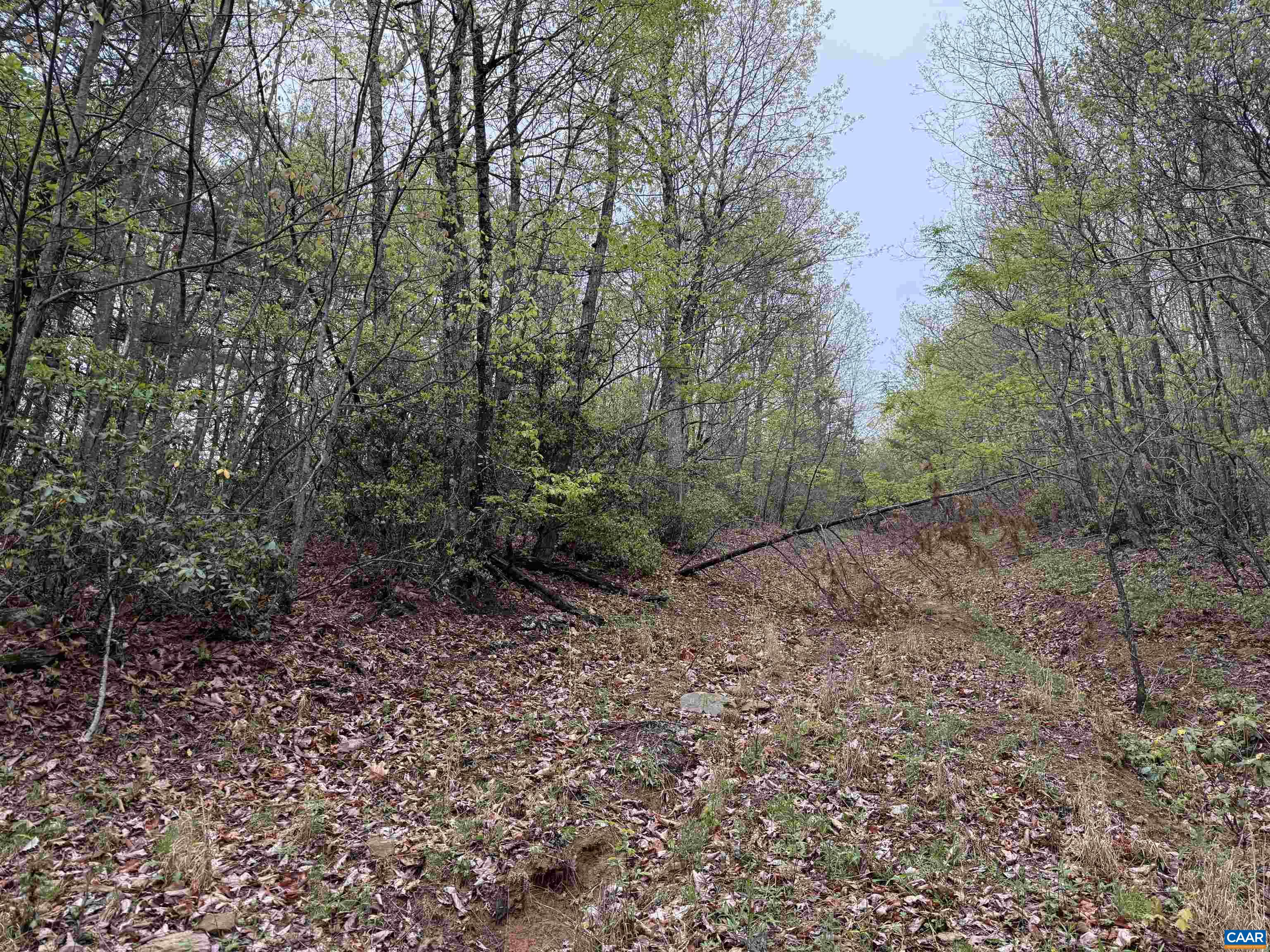 0 BLACK ROCK LN, INDEPENDENCE, Virginia 24348, ,Farm,0 BLACK ROCK LN,677377 MLS # 677377 0 BLACK ROCK LN, INDEPENDENCE, Virginia 24348, ,Farm,0 BLACK ROCK LN,677377 MLS # 677377