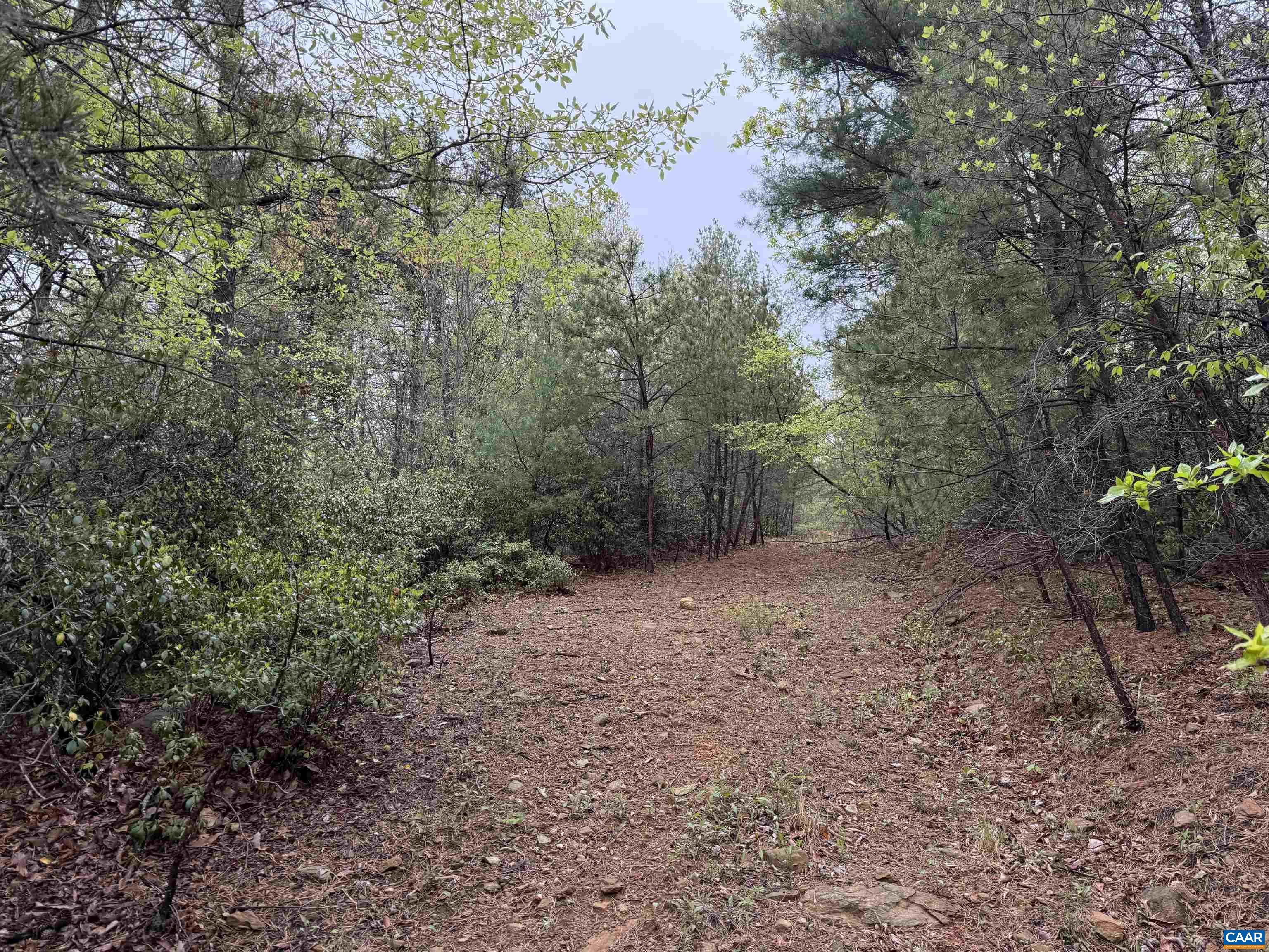 0 BLACK ROCK LN, INDEPENDENCE, Virginia 24348, ,Farm,0 BLACK ROCK LN,677377 MLS # 677377 0 BLACK ROCK LN, INDEPENDENCE, Virginia 24348, ,Farm,0 BLACK ROCK LN,677377 MLS # 677377