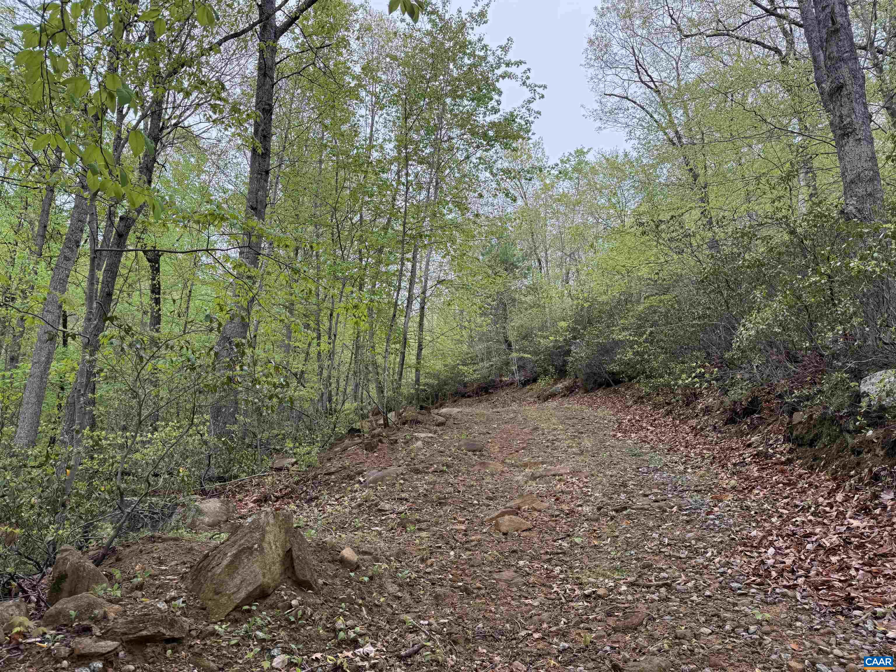 0 BLACK ROCK LN, INDEPENDENCE, Virginia 24348, ,Farm,0 BLACK ROCK LN,677377 MLS # 677377 0 BLACK ROCK LN, INDEPENDENCE, Virginia 24348, ,Farm,0 BLACK ROCK LN,677377 MLS # 677377