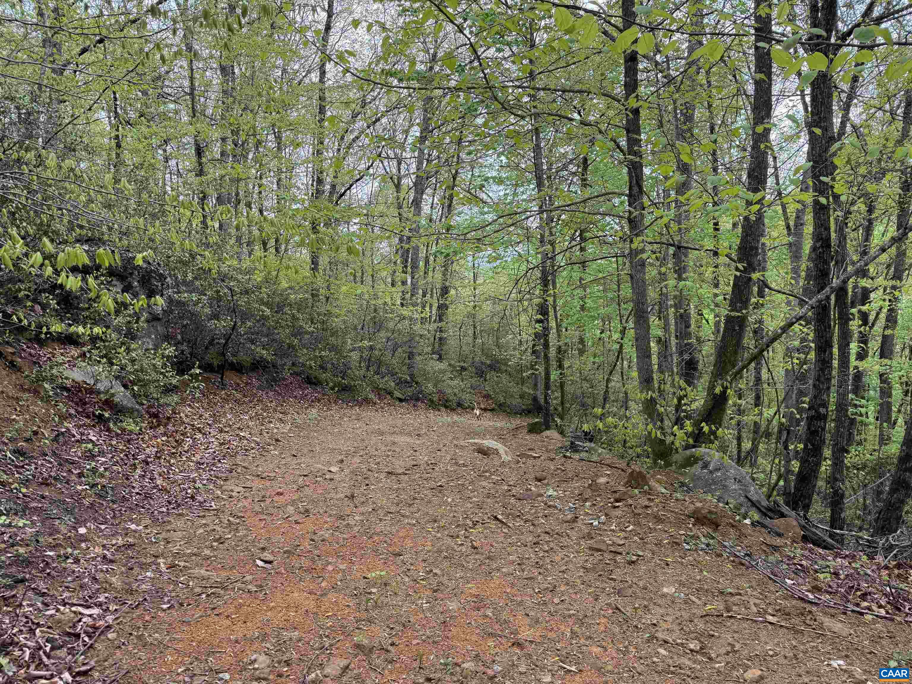 0 BLACK ROCK LN, INDEPENDENCE, Virginia 24348, ,Farm,0 BLACK ROCK LN,677377 MLS # 677377 0 BLACK ROCK LN, INDEPENDENCE, Virginia 24348, ,Farm,0 BLACK ROCK LN,677377 MLS # 677377